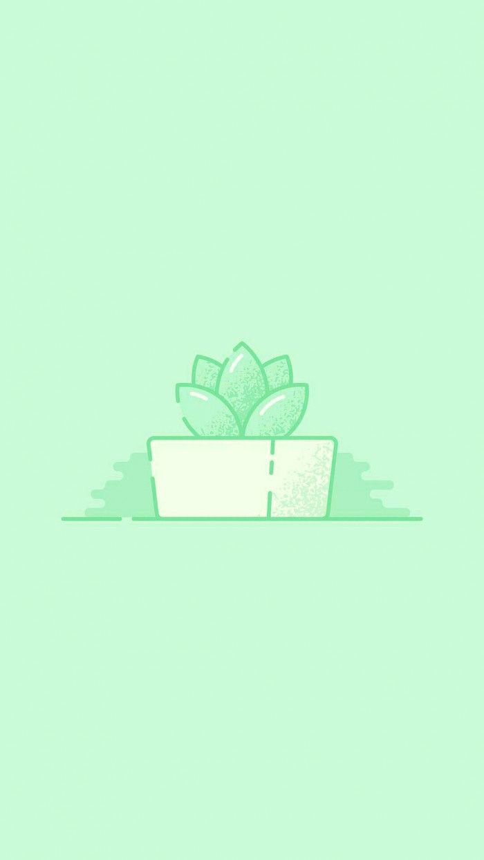 A simple illustration of a succulent plant in a white planter on a light green background - Mint green