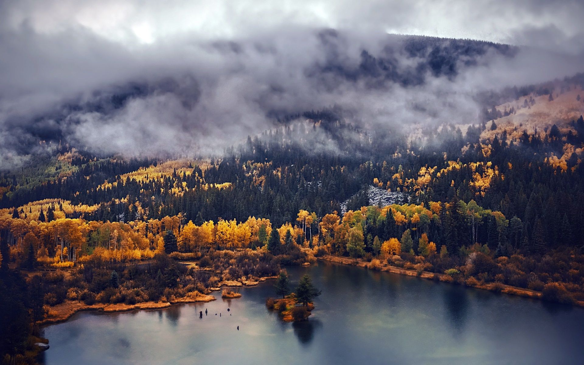 A foggy mountain lake surrounded by trees in the fall. - Lake
