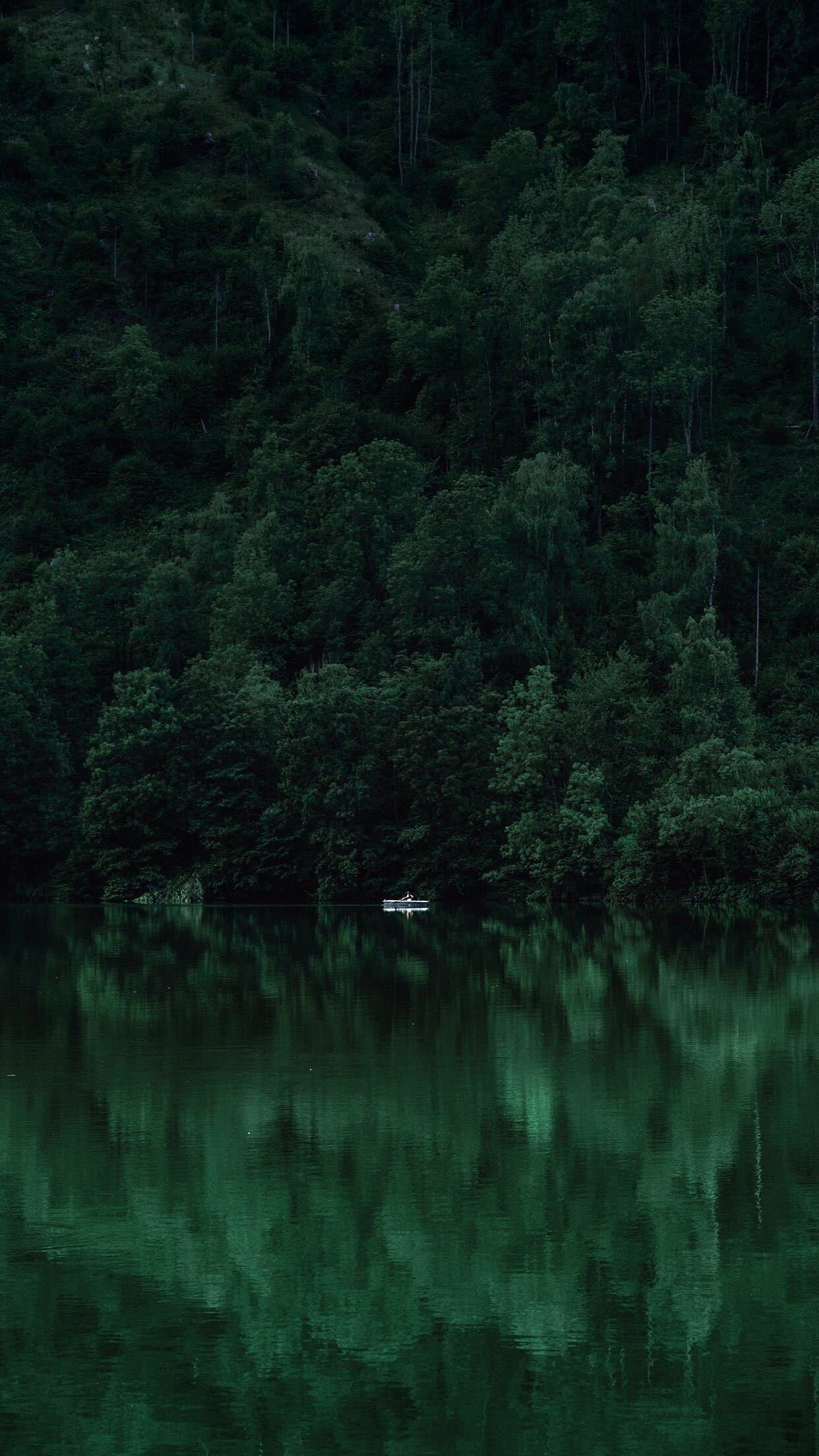 A boat on a lake surrounded by a dense forest - Lake