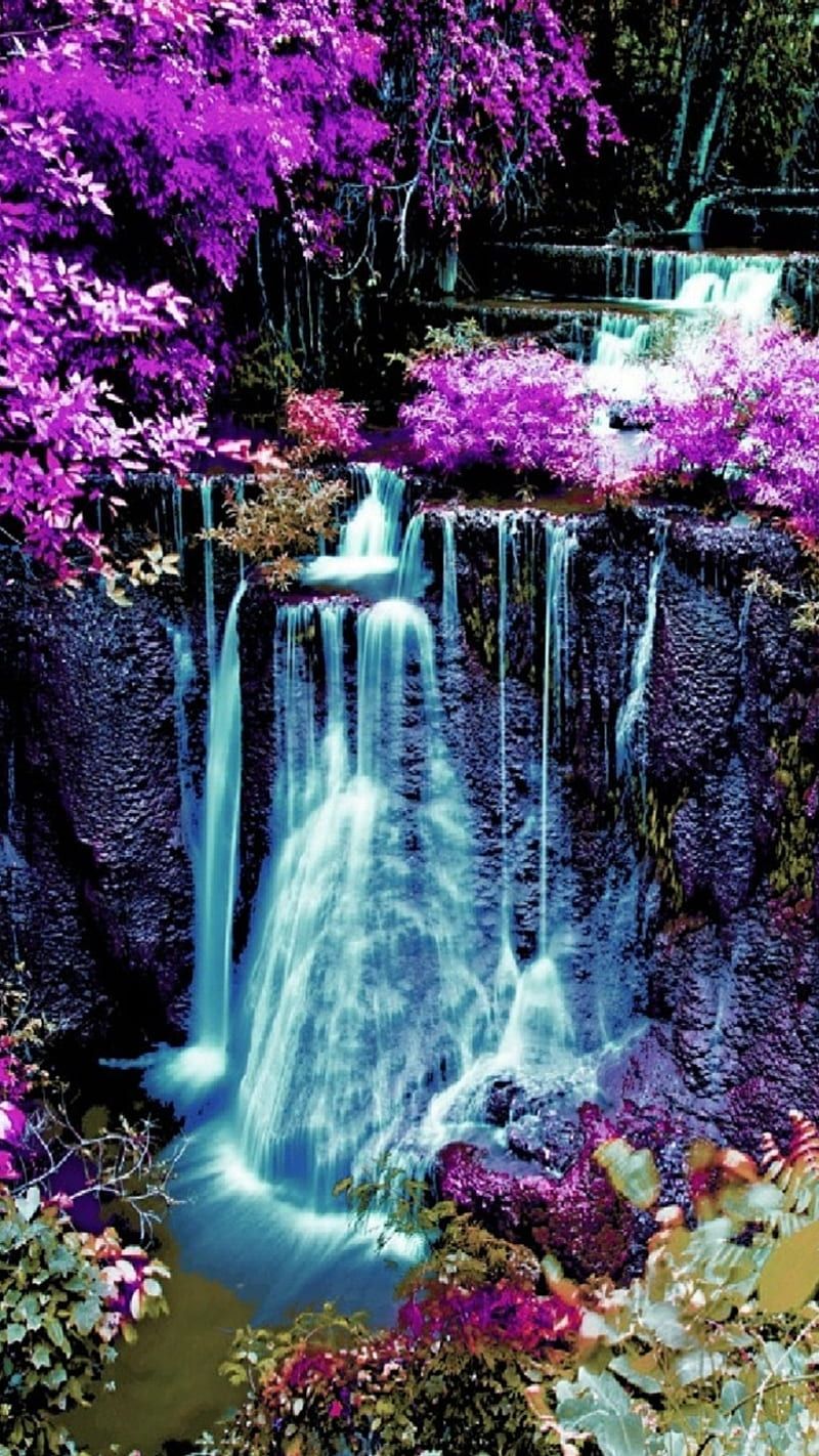 A waterfall surrounded by purple flowers - Waterfall