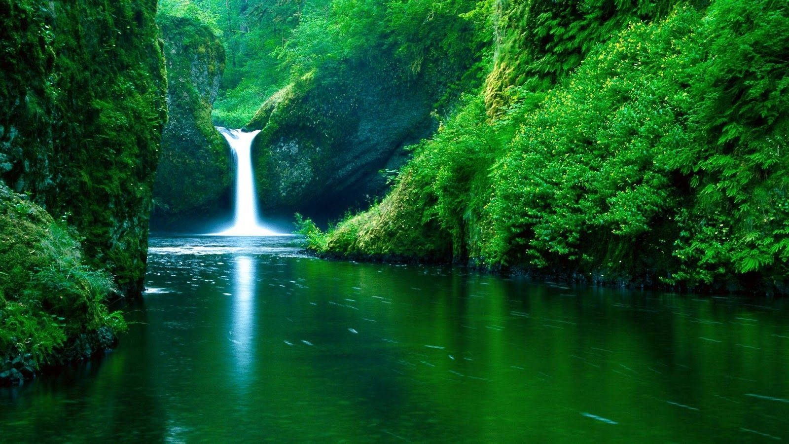 Download free Live Beautiful Waterfall