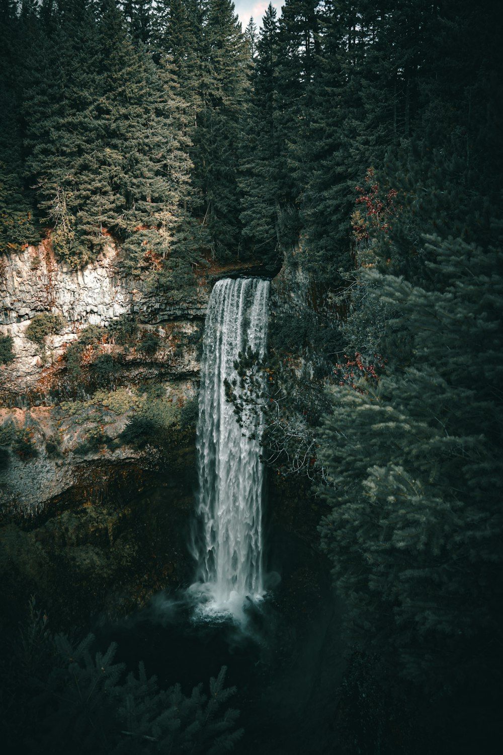 A waterfall surrounded by trees - Waterfall