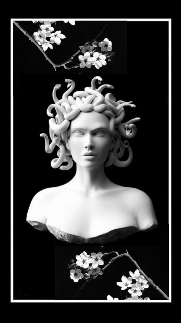 Black and white photo of a bust of a woman with snakes for hair - Medusa