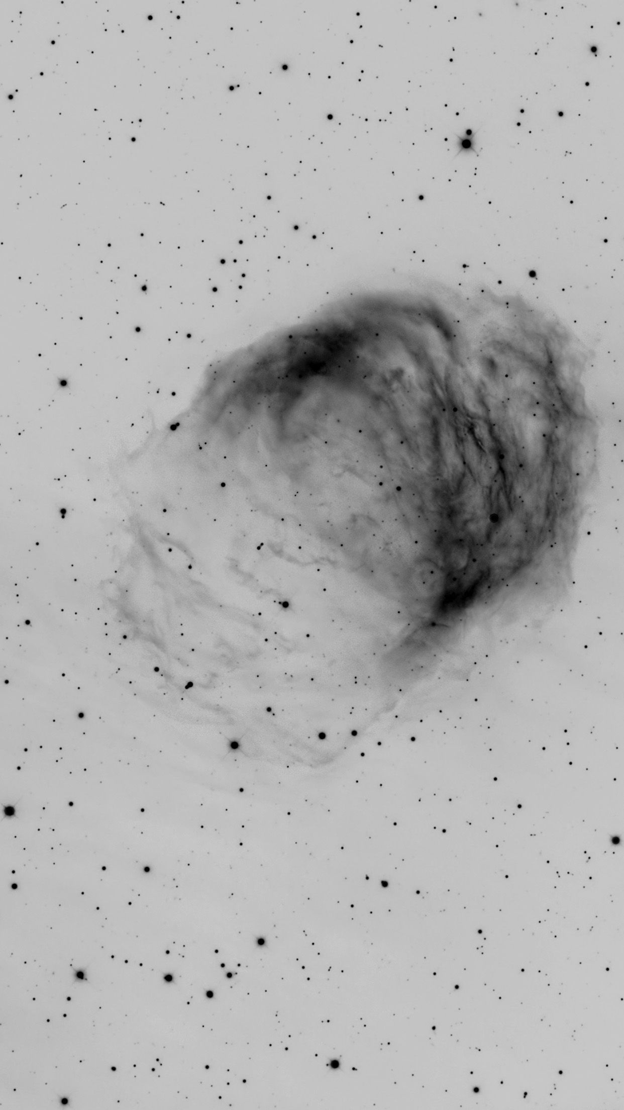 Space Medusa Crawford Galaxy Star