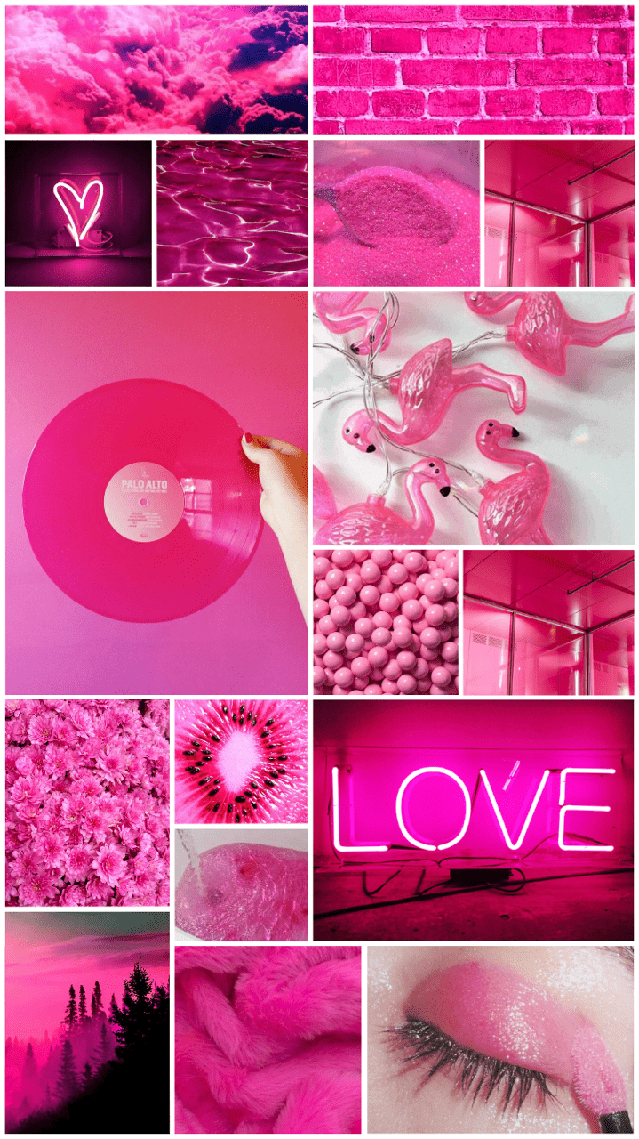 A collage of pictures with pink backgrounds - Hot pink, pink, warm