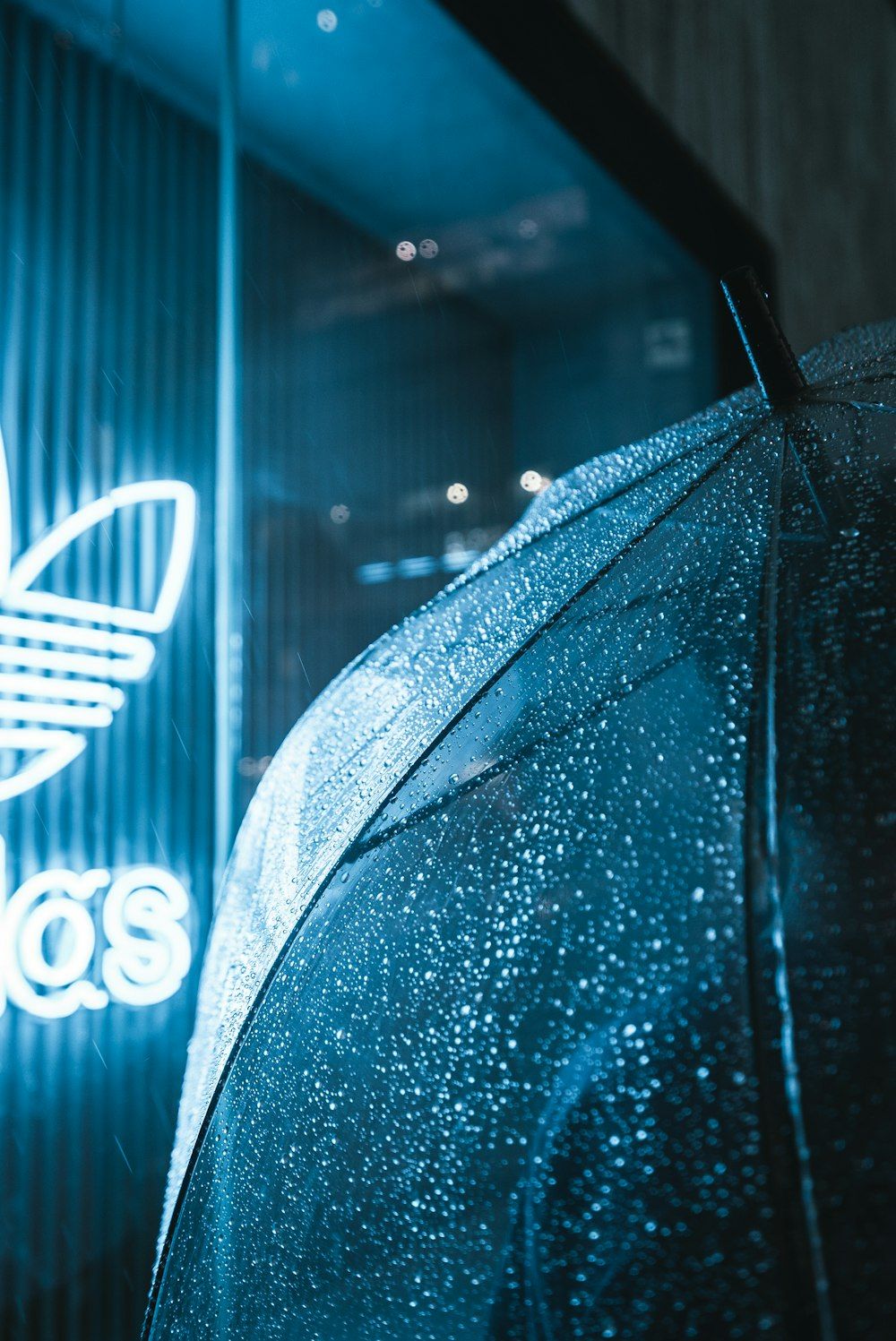Adidas neon signage photo
