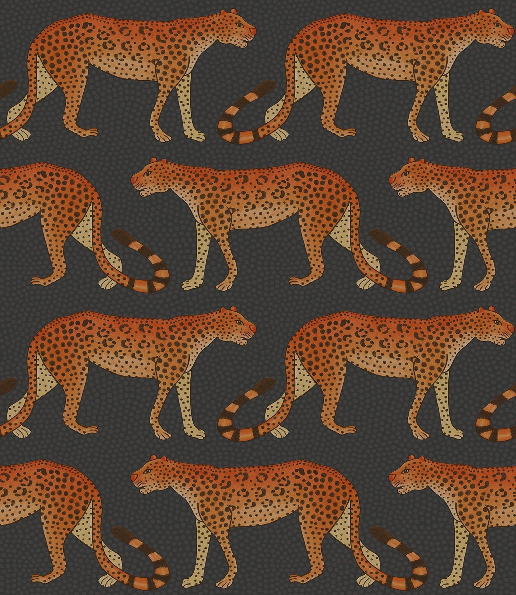 Ardmore Leopard Walk Wallpaper