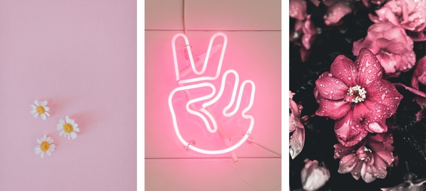 A collage of three photos: a pink wall with daisies, a pink neon sign with a peace sign, and pink flowers. - Neon pink