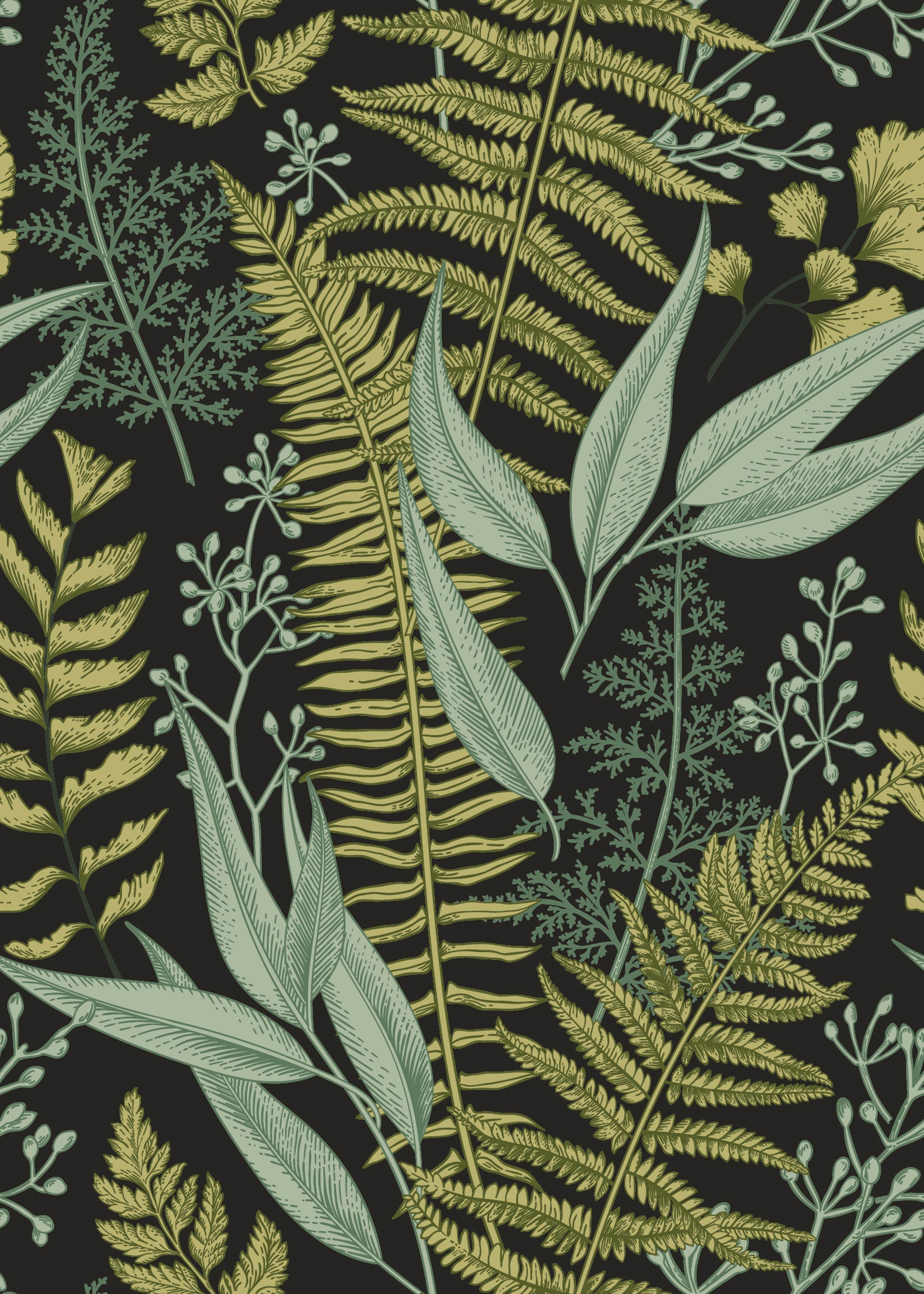 Ferns Botanical Wallpaper