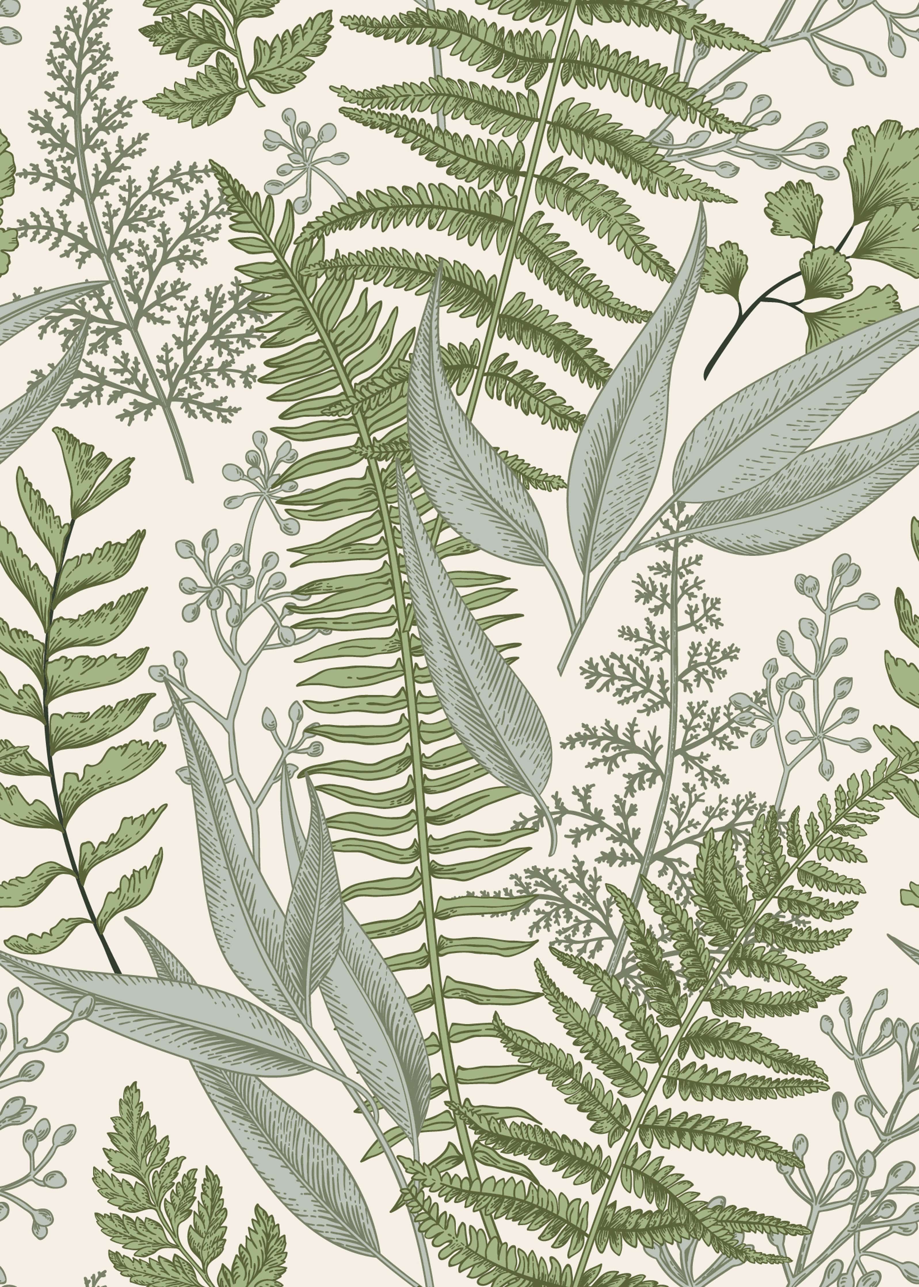 Ferns Botanical Light Wallpaper