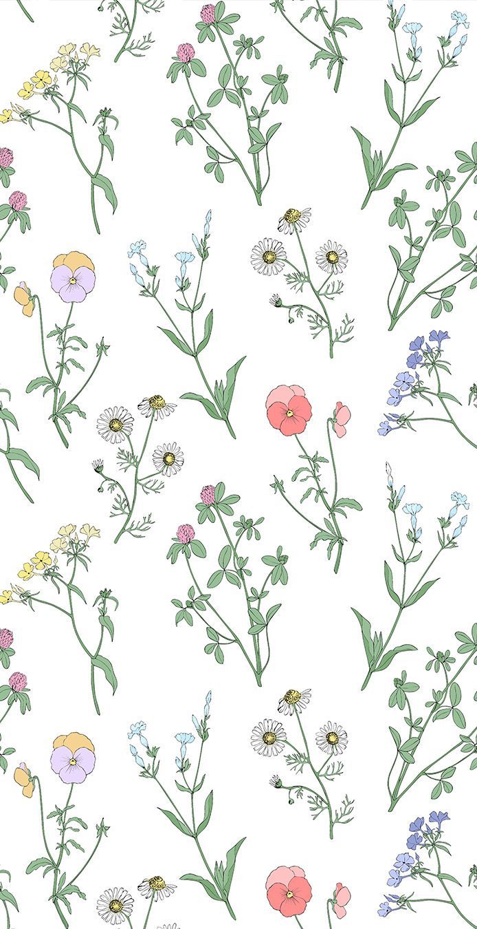 Wildflowers on a white background