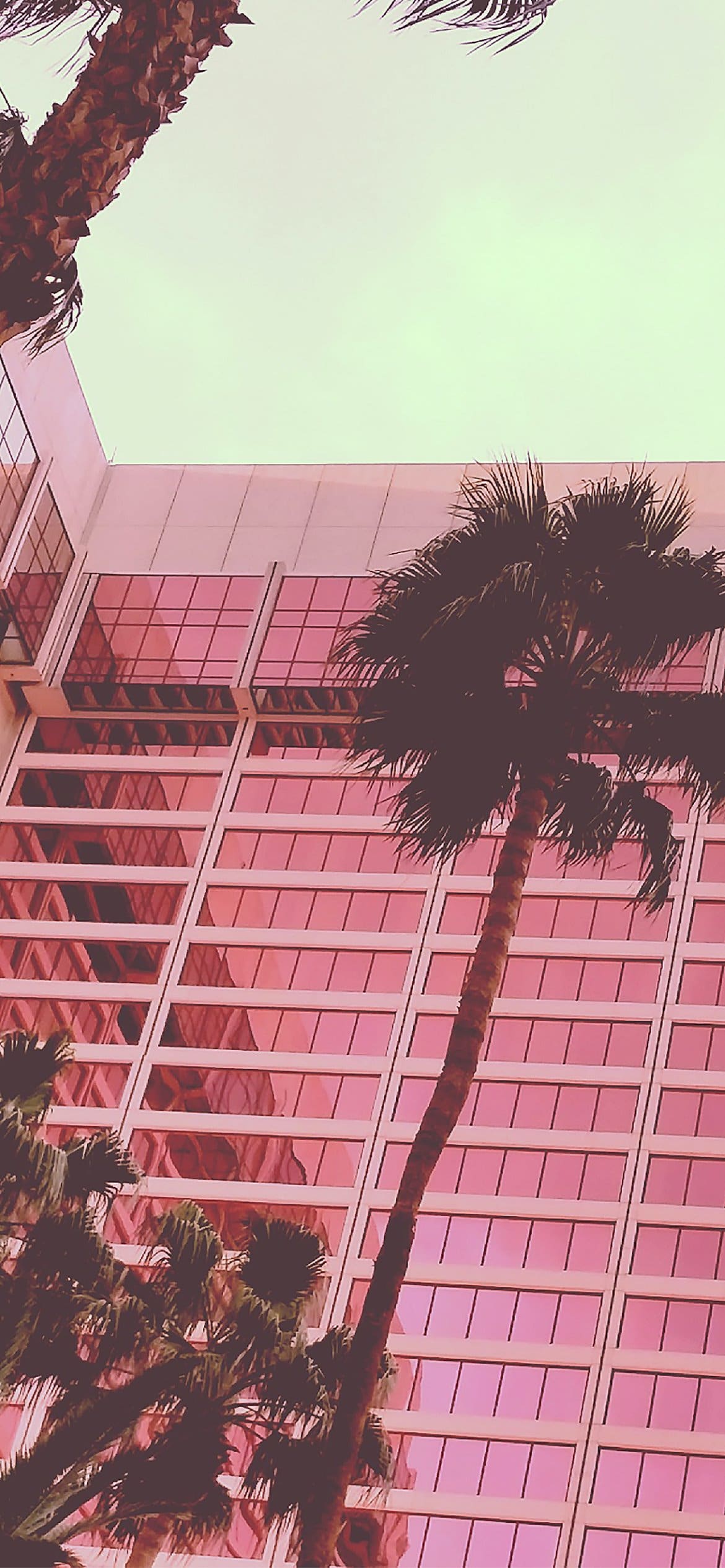 A tall building with palm trees in front of it - Pink phone, hot pink, light pink, soft pink, palm tree, tropical