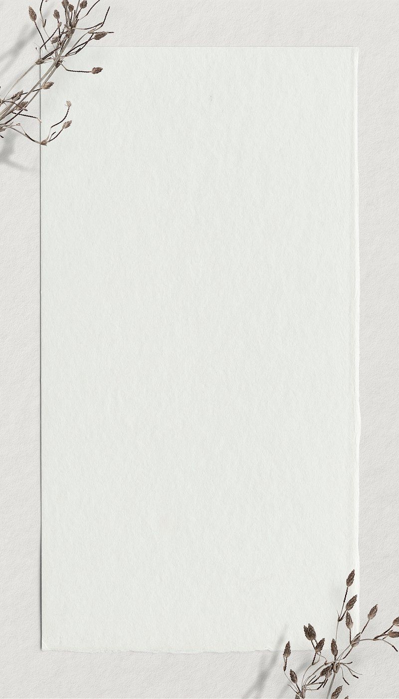 Dry Flower Off White Background Design
