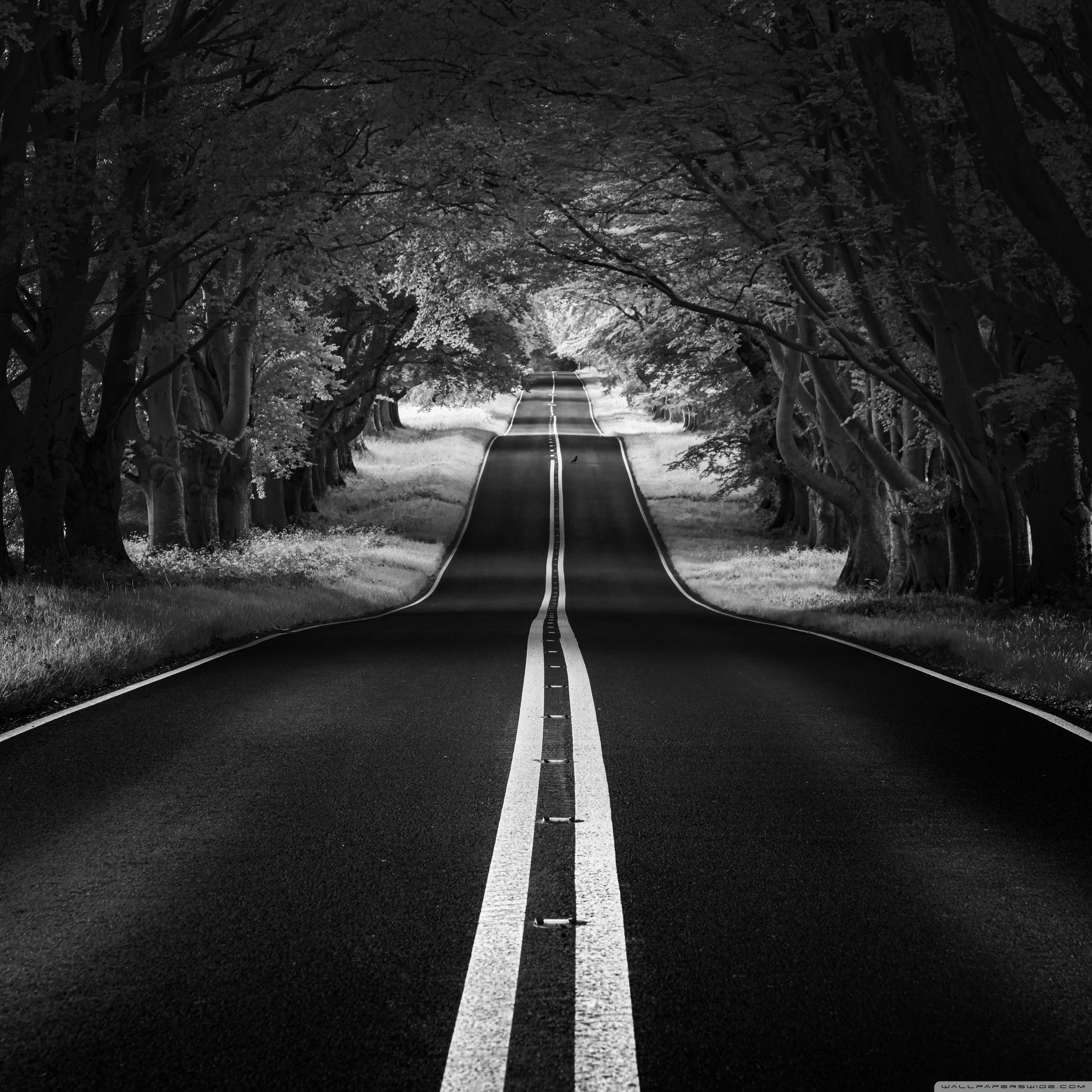 A black and white photo of an empty road - Black and white