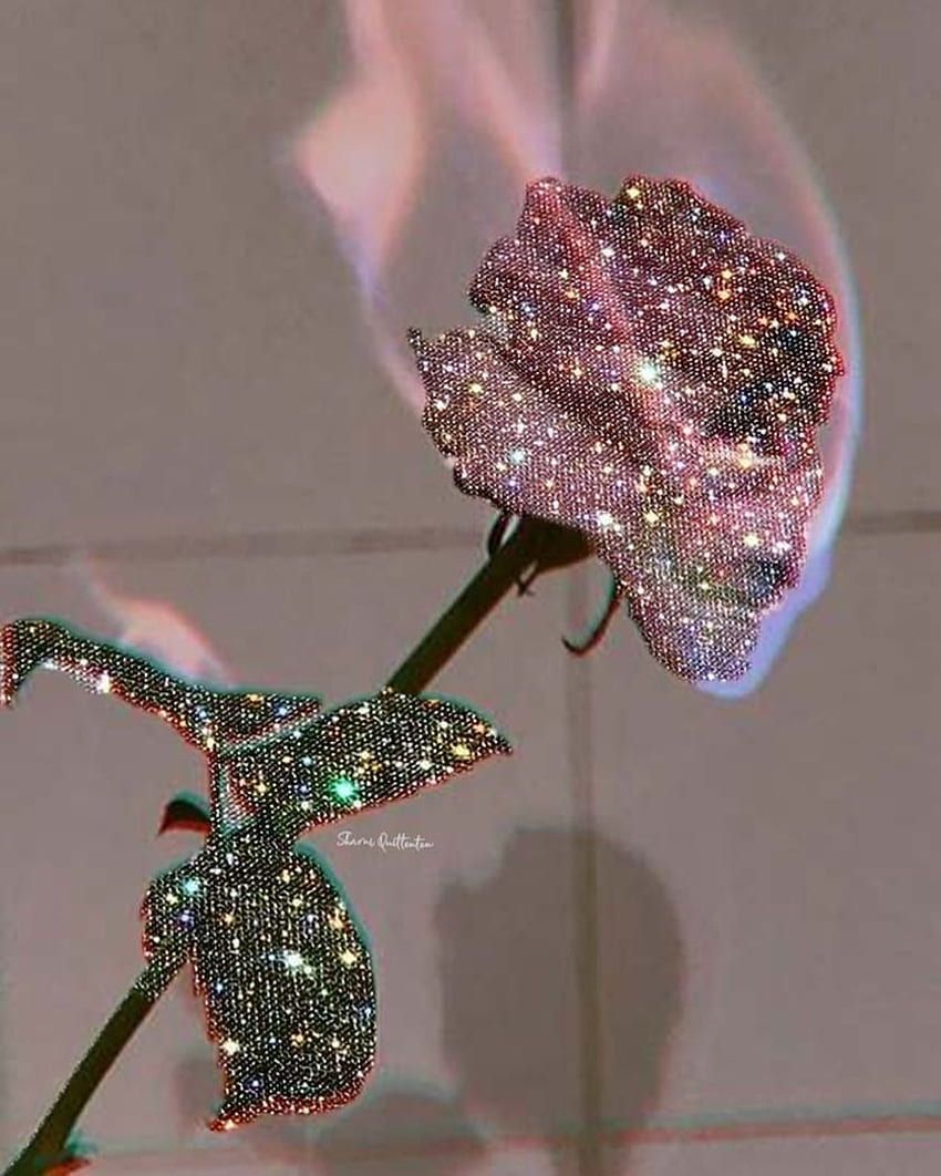 Boujee, fire, rose gold, roses