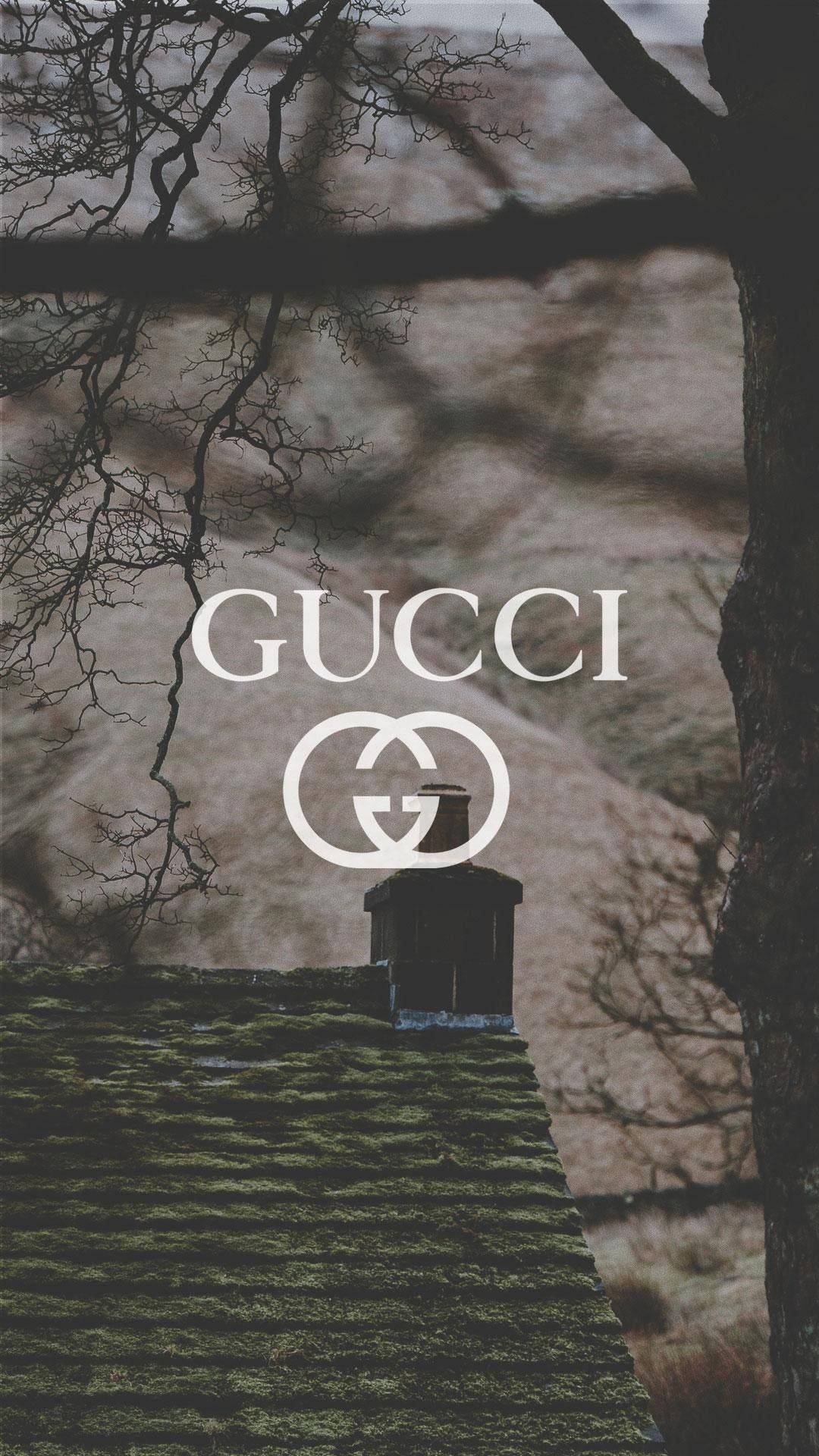 Free Gucci HD Wallpaper