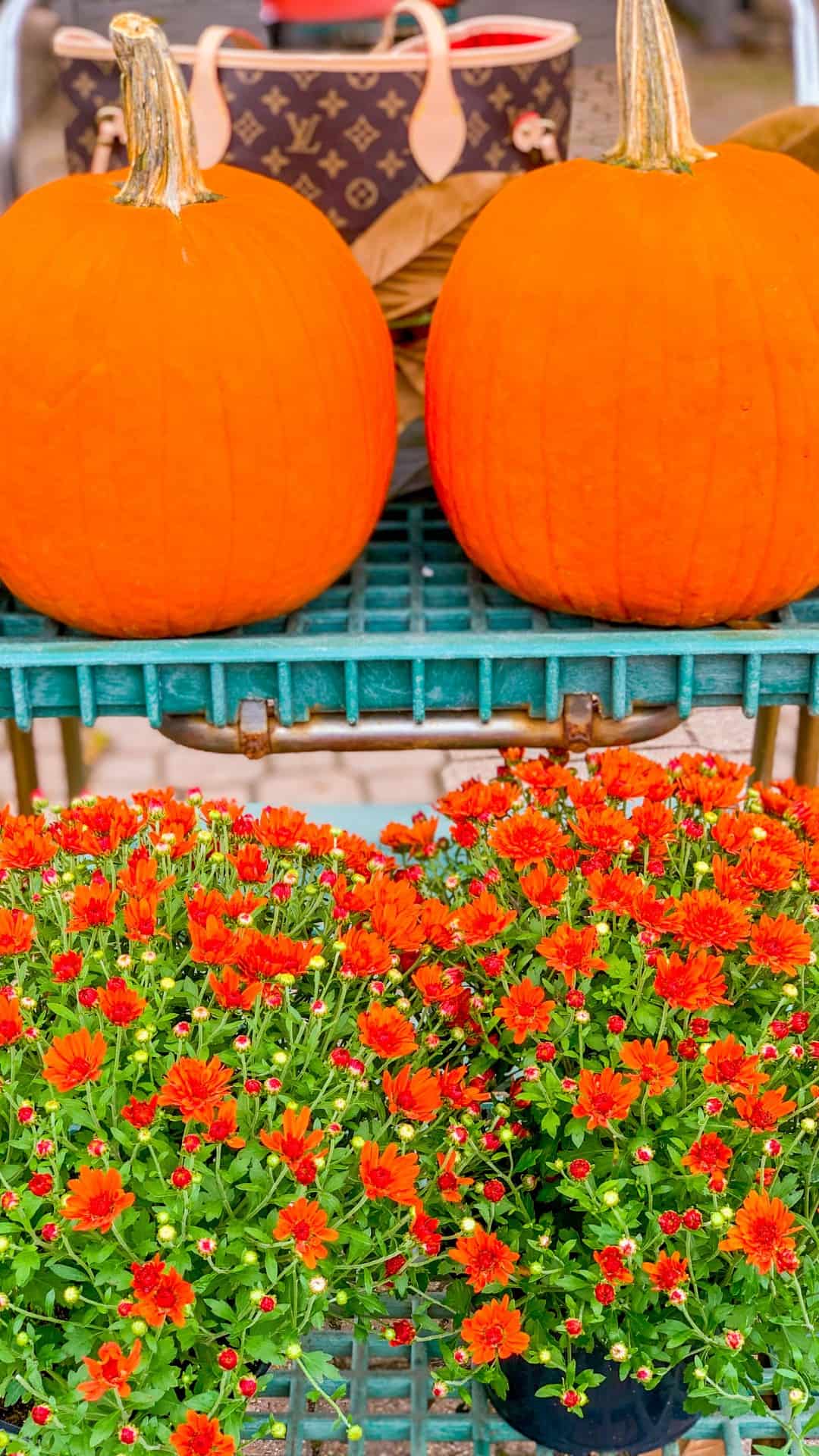 Pumpkins and orange flowers on a table - Cozy, cute fall