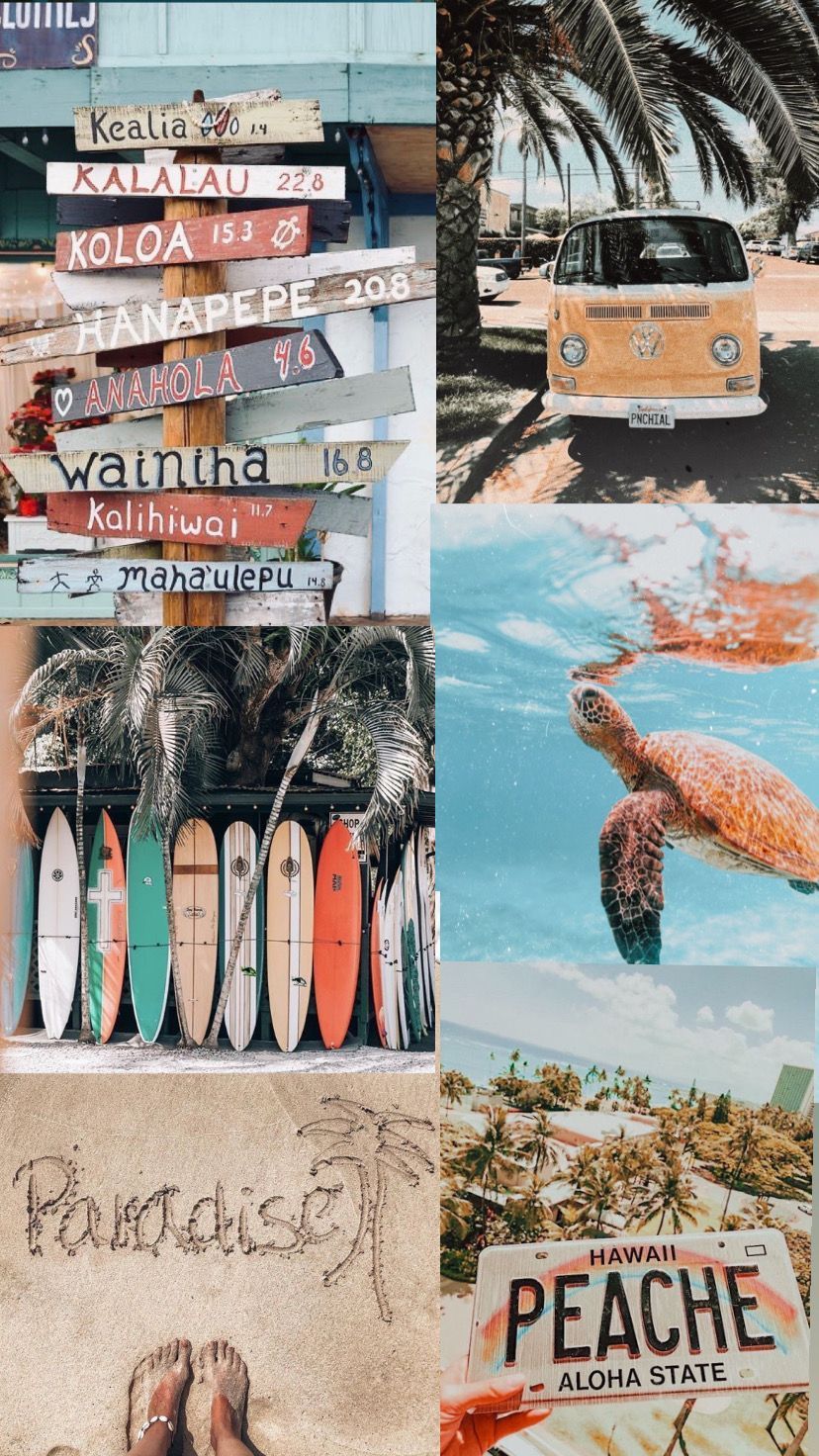summer wallpaper, Surfing wallpaper