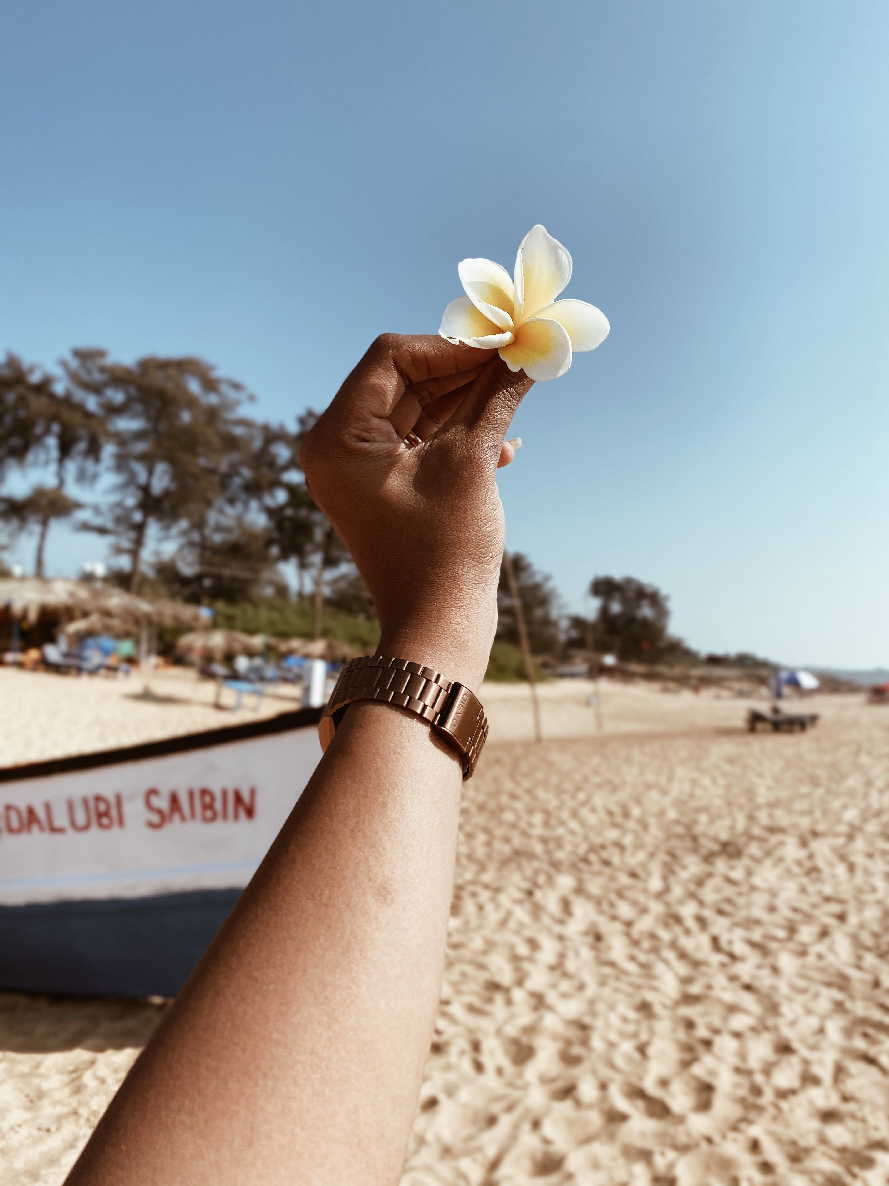 Hand Holding a Yellow Flower Head