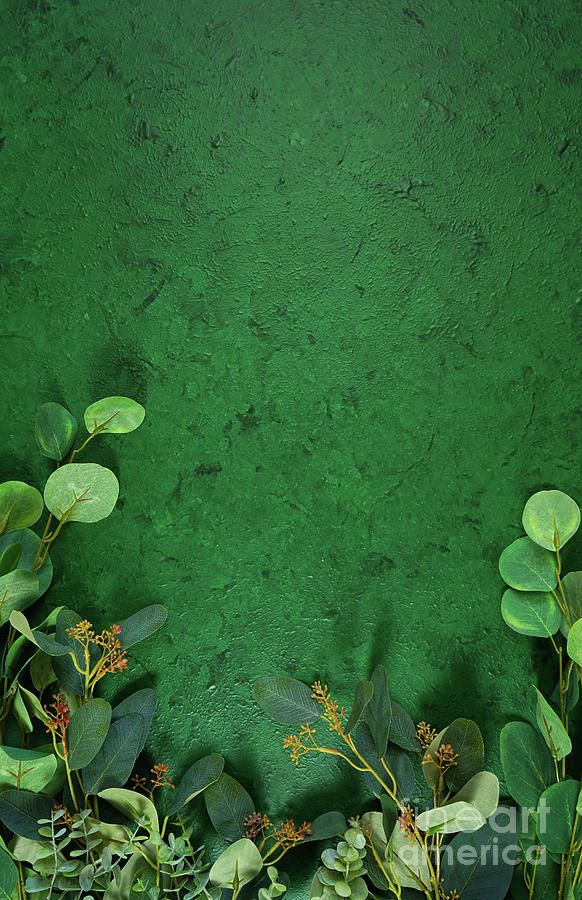 Dark green aesthetic nature theme
