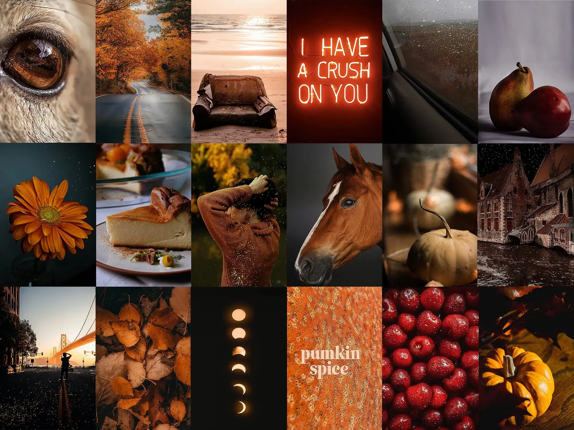 Boujee Fall Aesthetic Wall Collage Kit