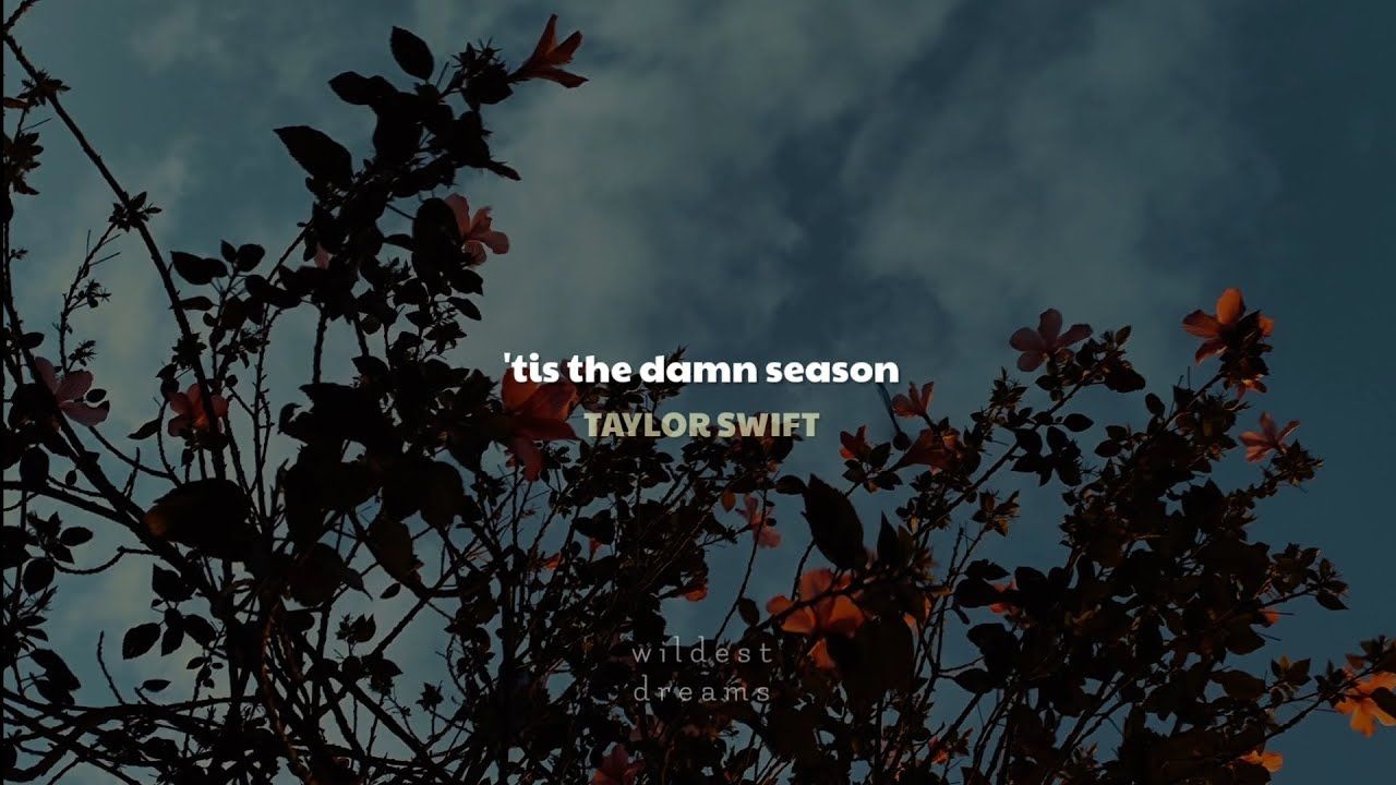 Taylor Swift - 'tis the damn season