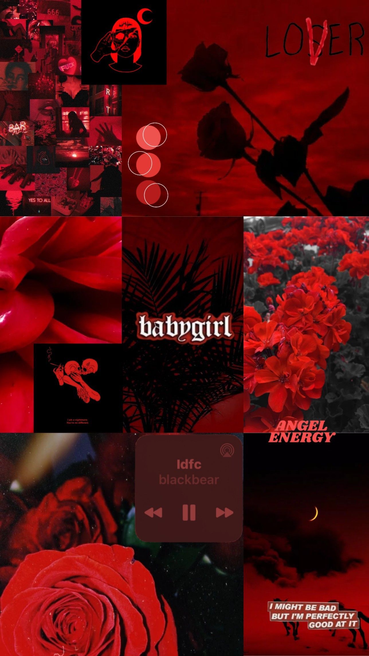 A collage of pictures with red roses - IPhone red, dark red, red
