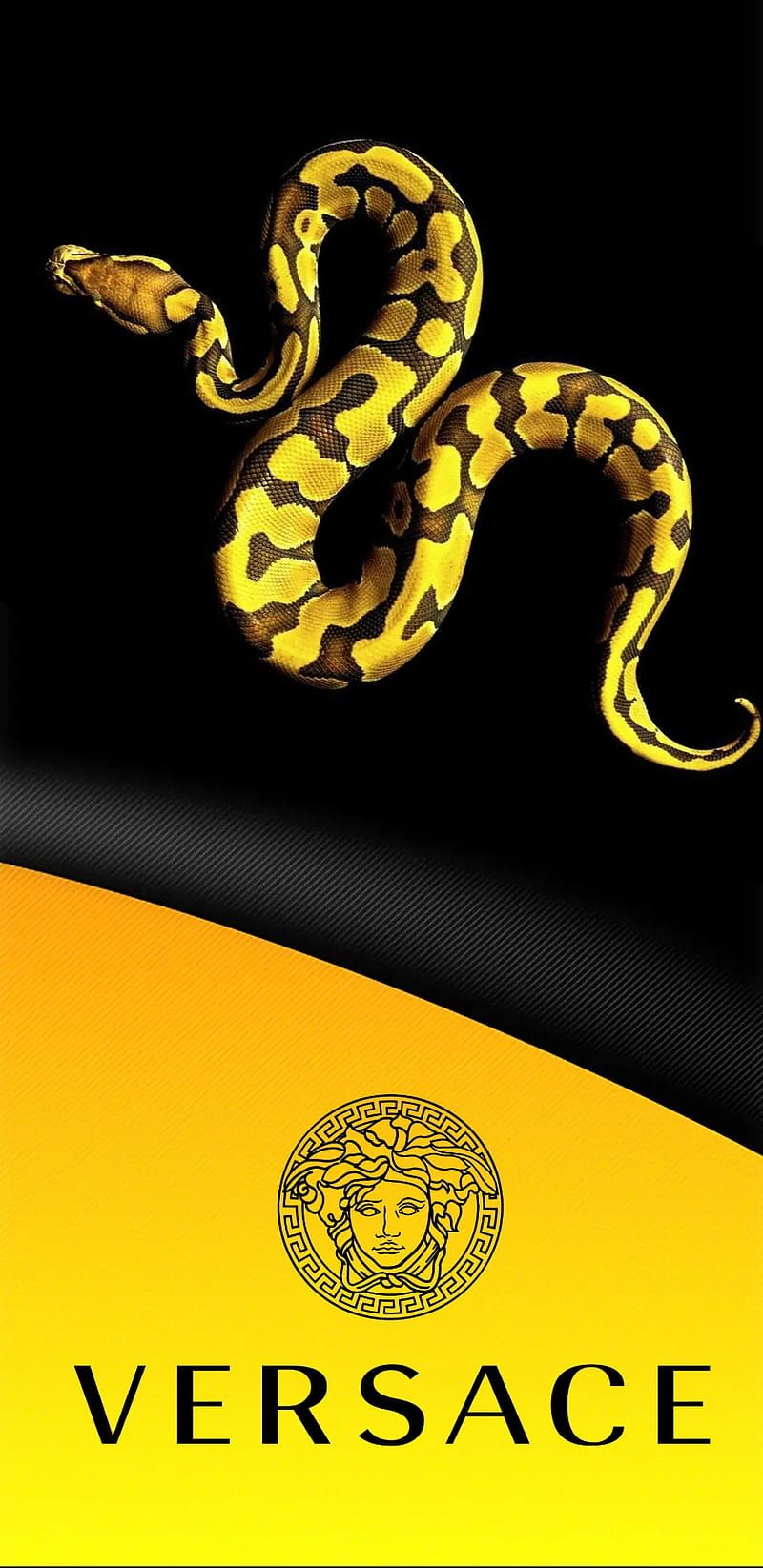 Versus, black and yellow, king, snake