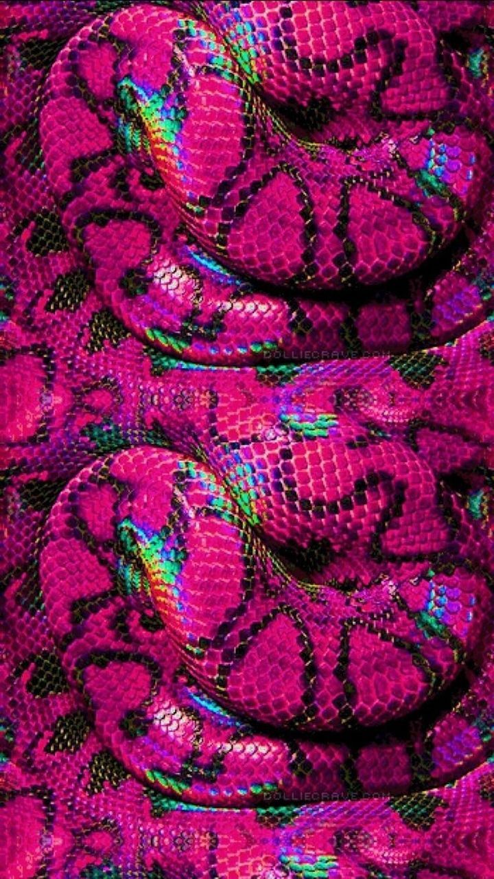 A snake skin pattern in pink and purple - Hot pink