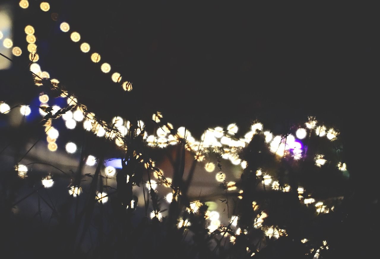 String Lights Night Dark Gray