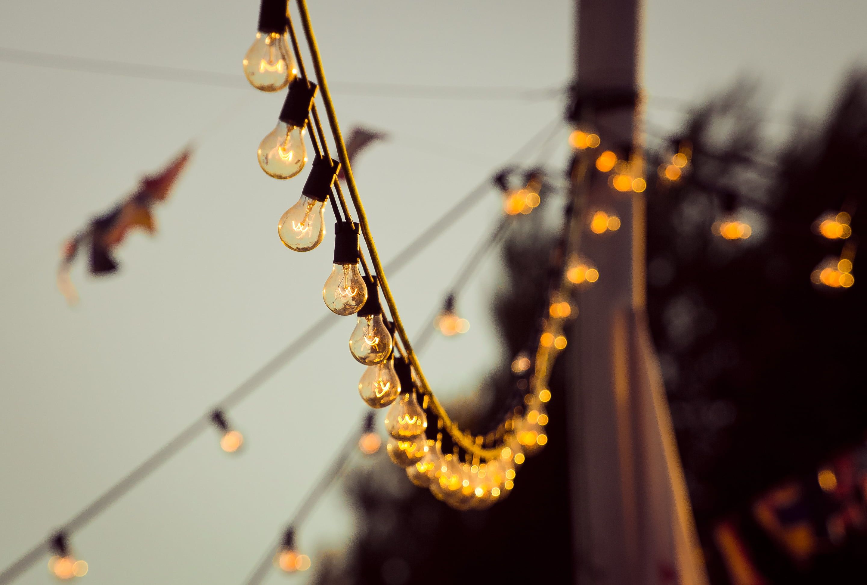 photo of string lights HD wallpaper