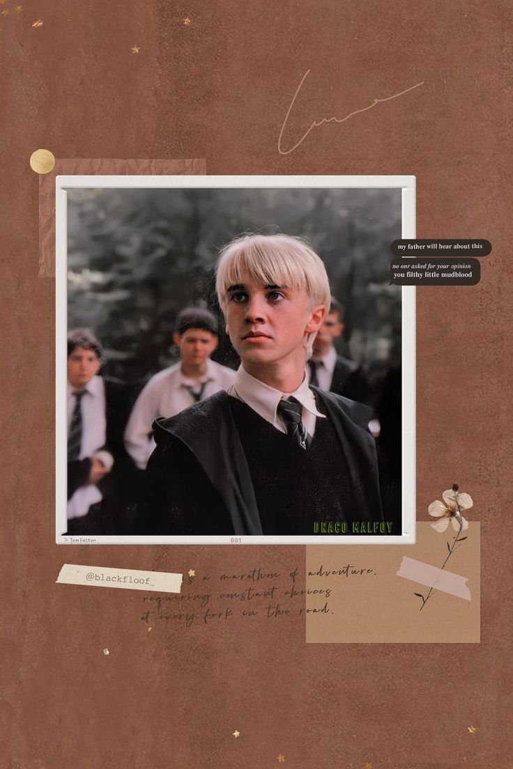 Draco Malfoy aesthetic wallpaper