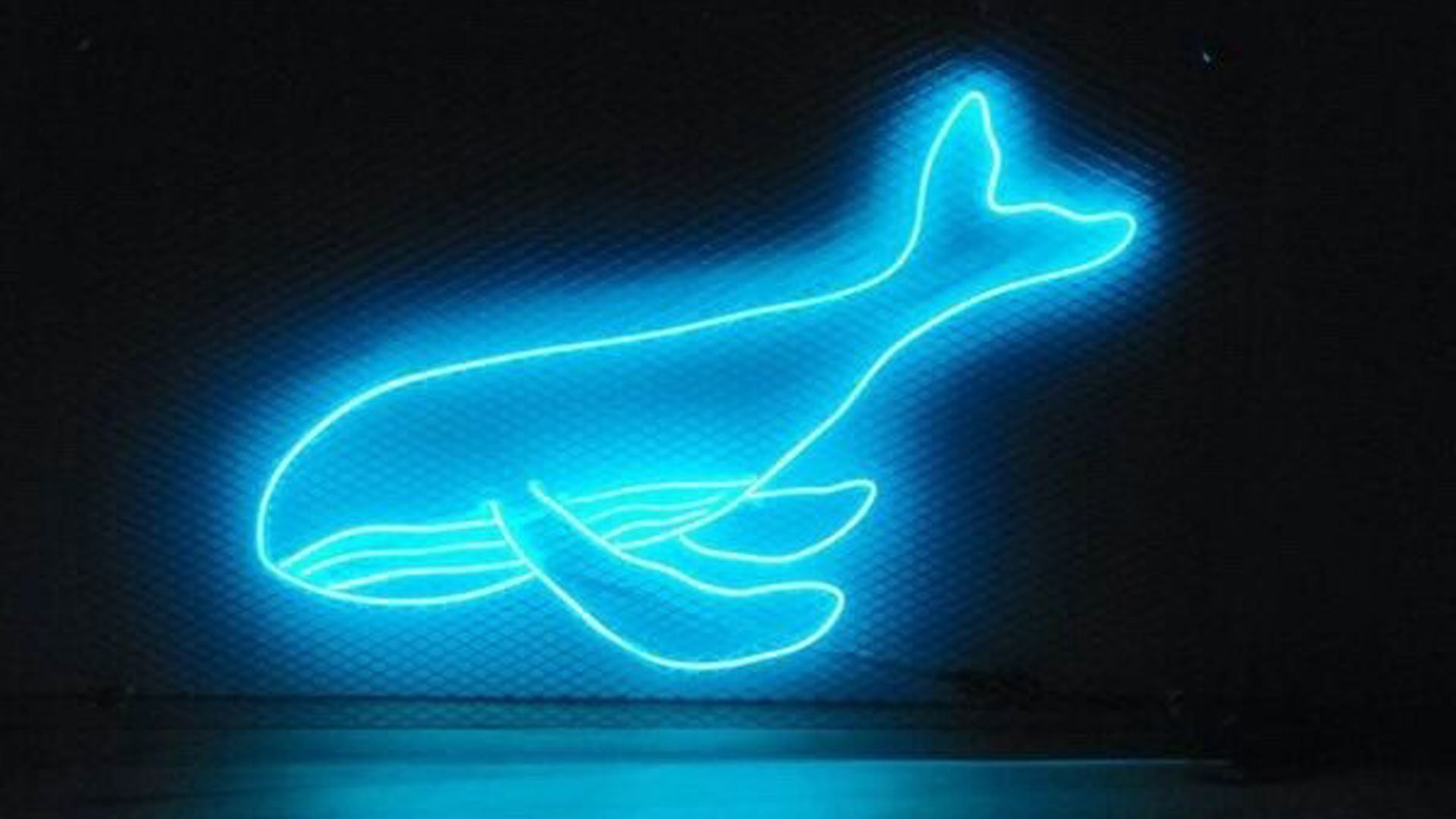 Neon Whale Blue Aesthetic HD Blue Aesthetic Wallpaper
