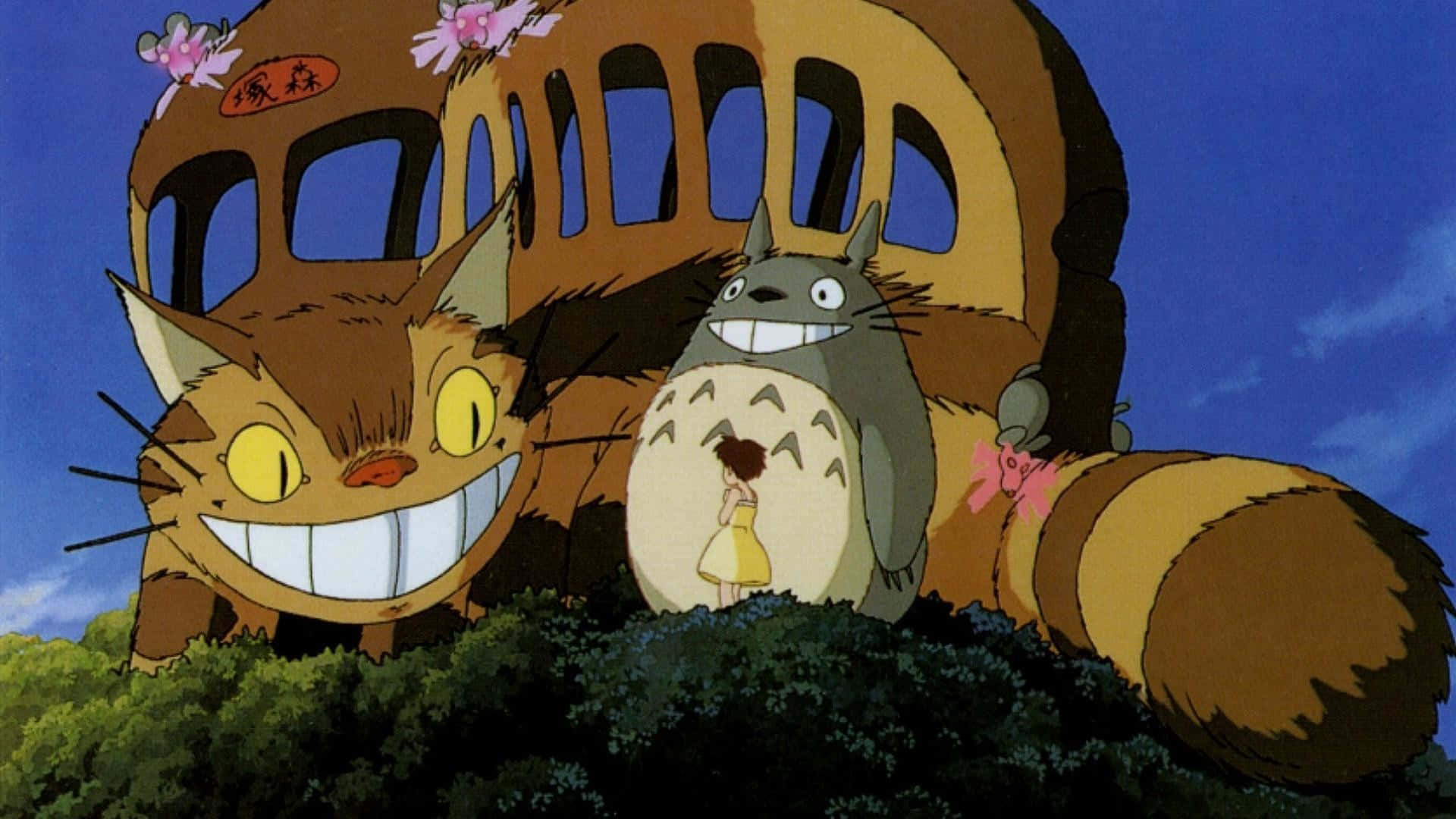 Download totoro movie series