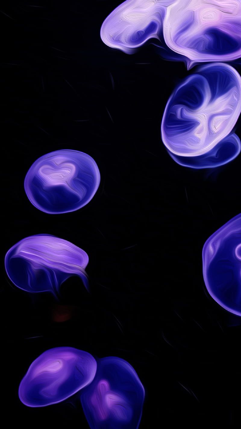 Jellyfish Jelly Fish A, Aquarium, dark