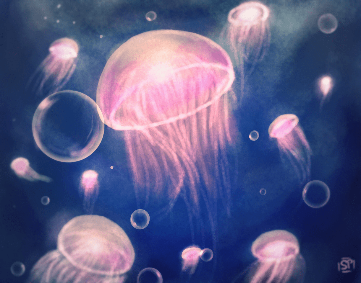 jellyfish Smalberry ART