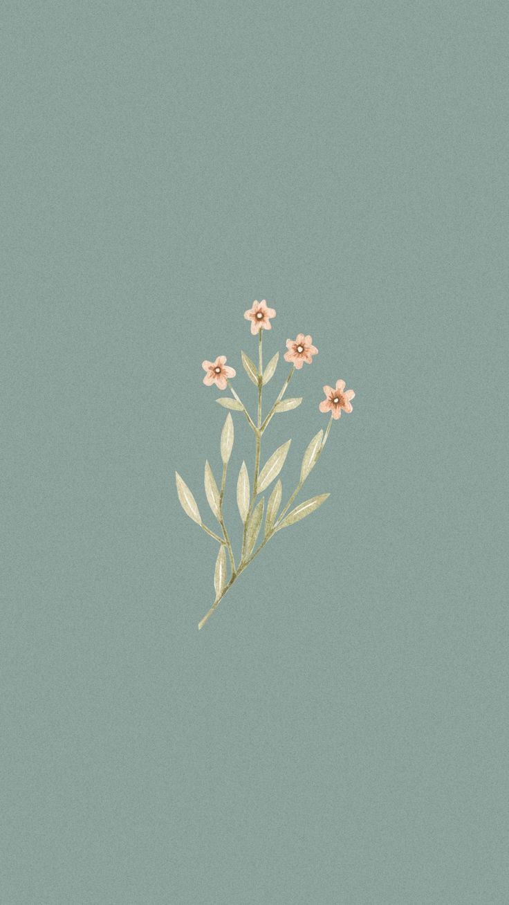 A floral phone background with a blue background and pink flowers - Pastel minimalist