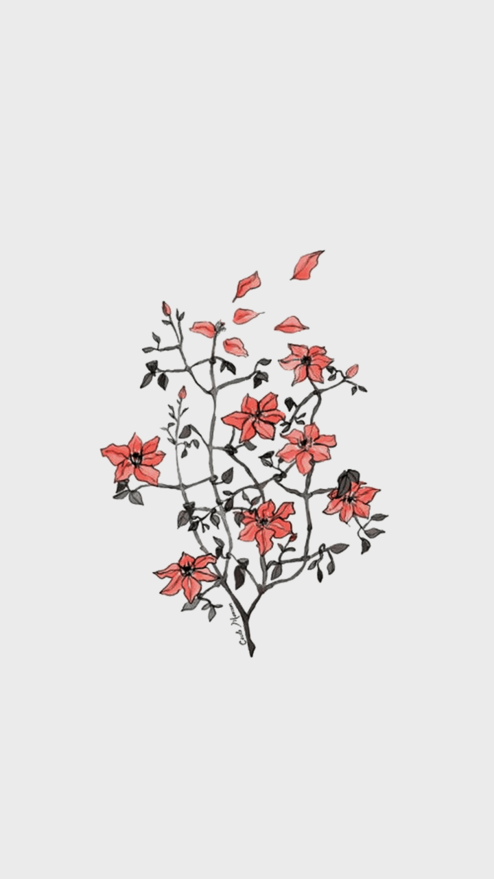 Aesthetic wallpaper of a branch with red flowers - Pastel minimalist