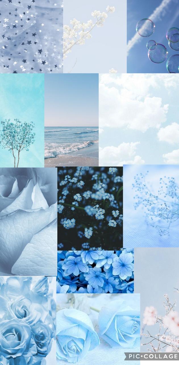 A collage of blue aesthetic pictures - Pastel blue, light blue