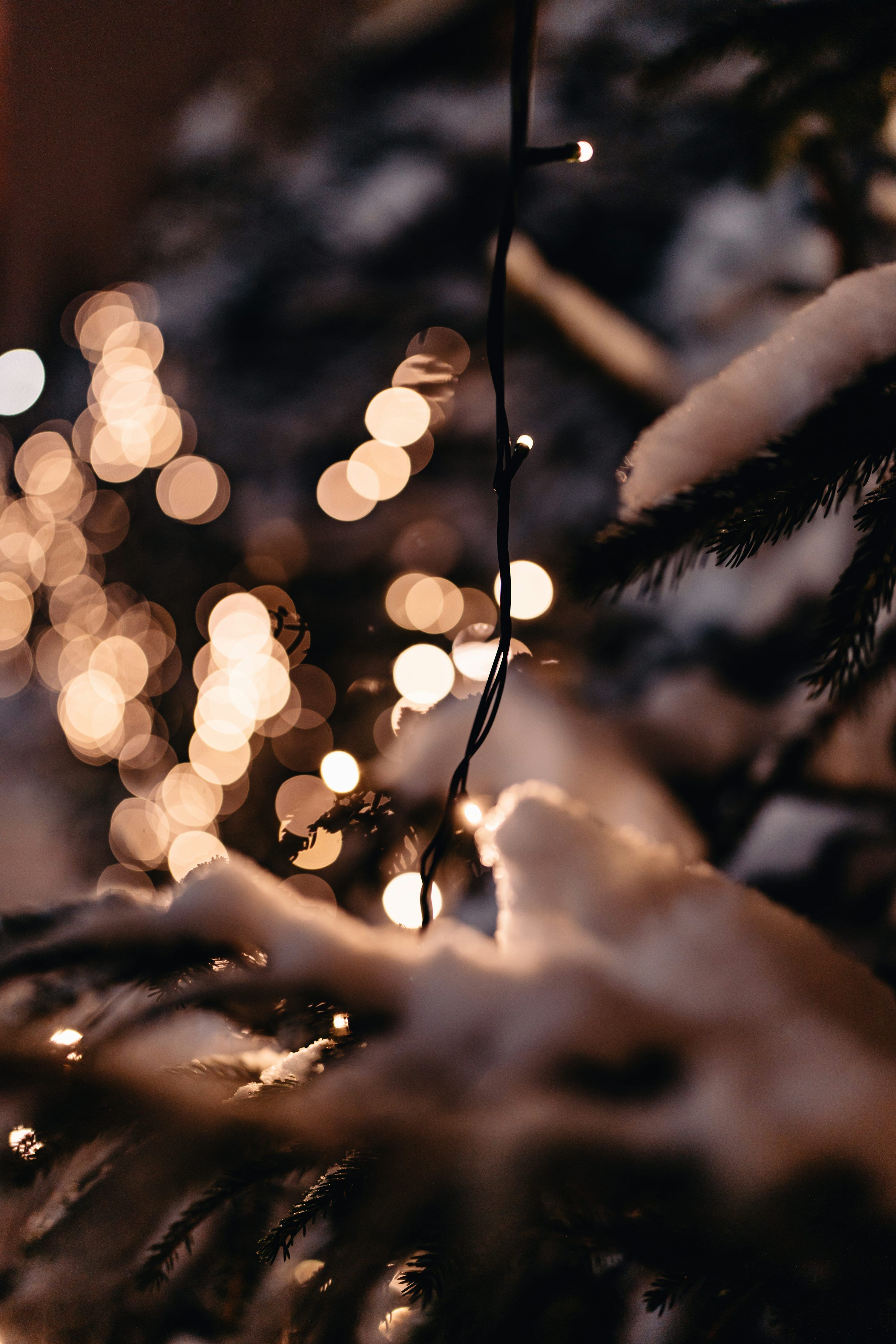 A close up of a christmas tree