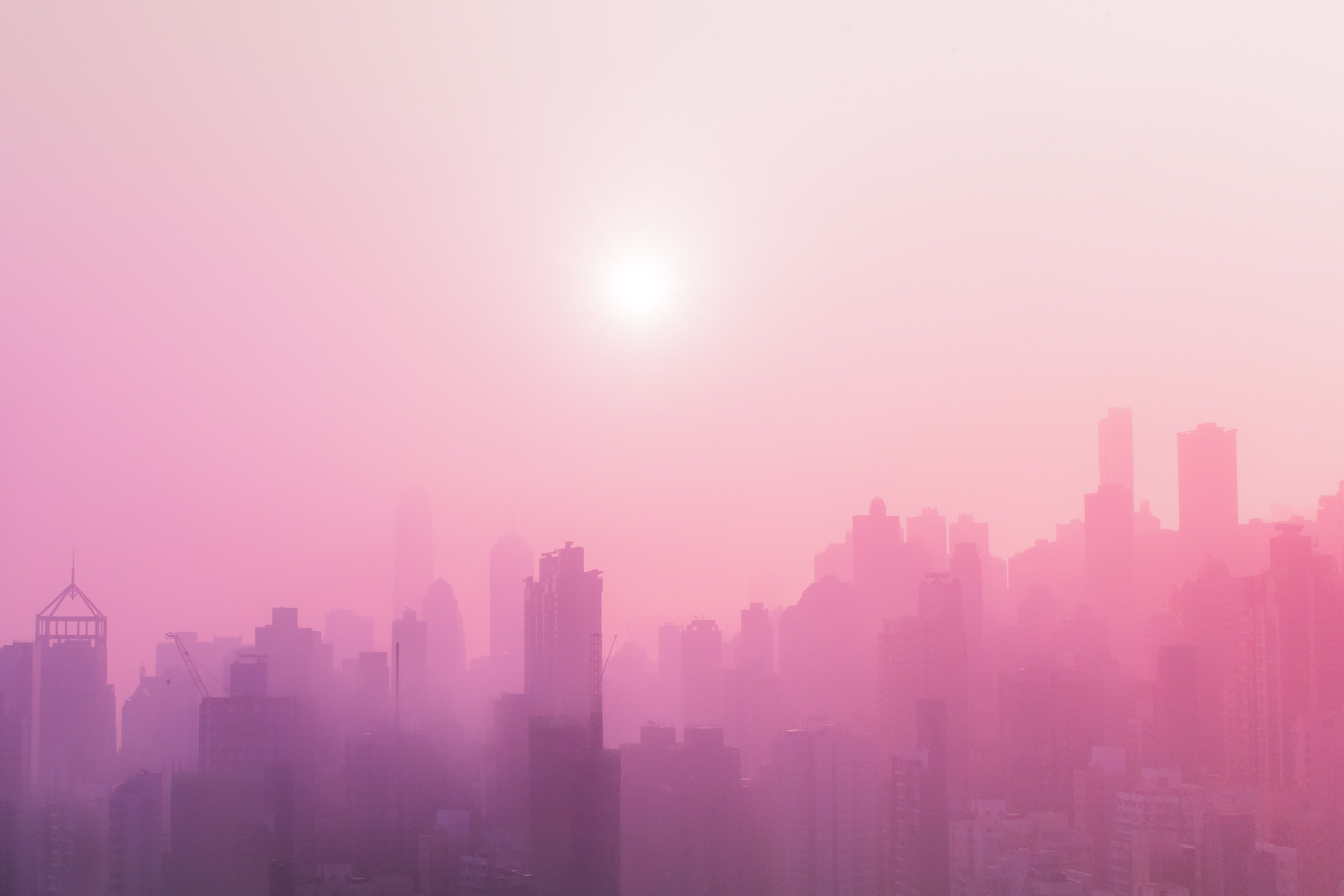 A city skyline is shown in a pink hue. - Hot pink, pink, soft pink