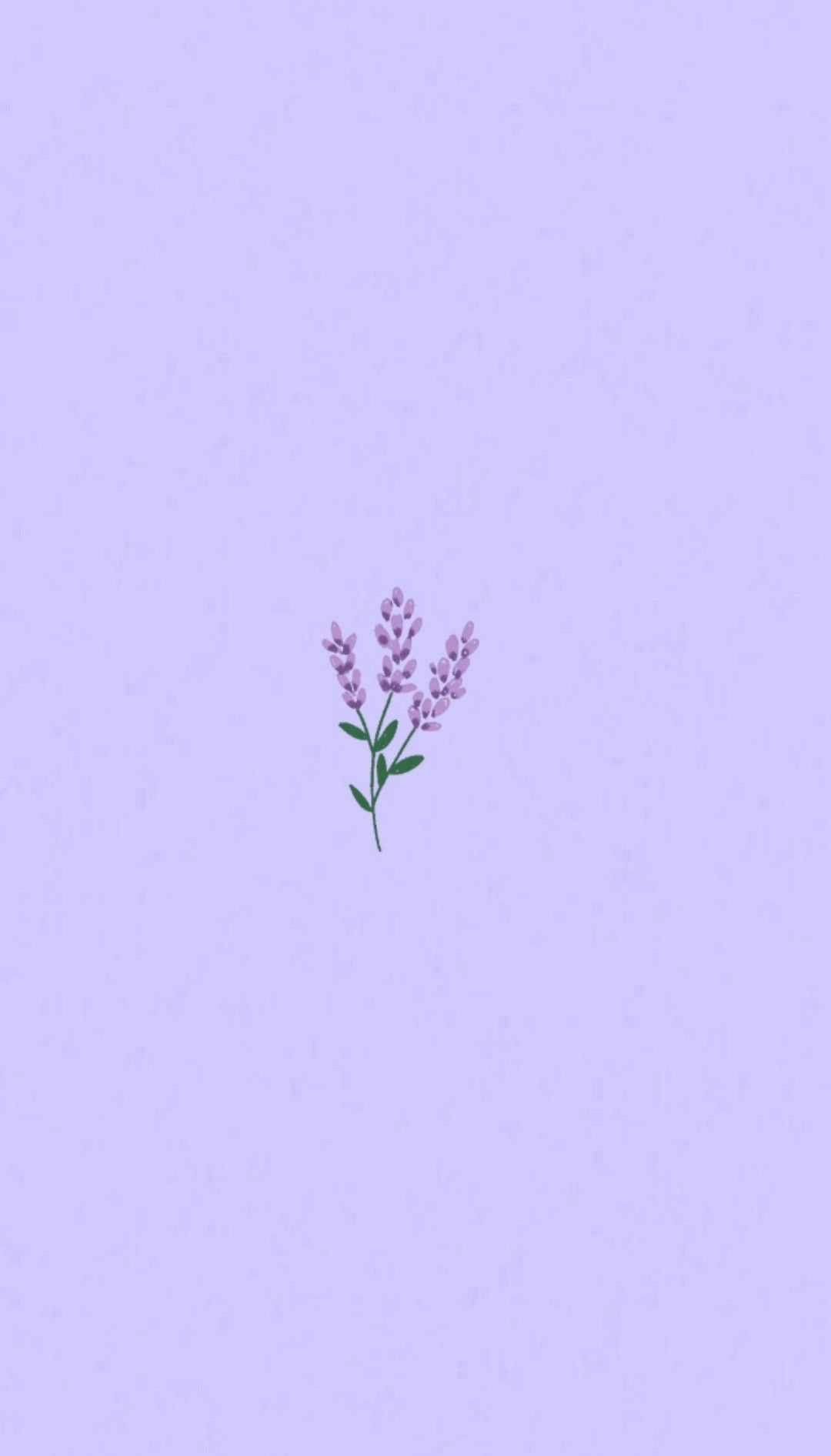 Download Light Purple Aesthetic Lavender Flower Wallpaper