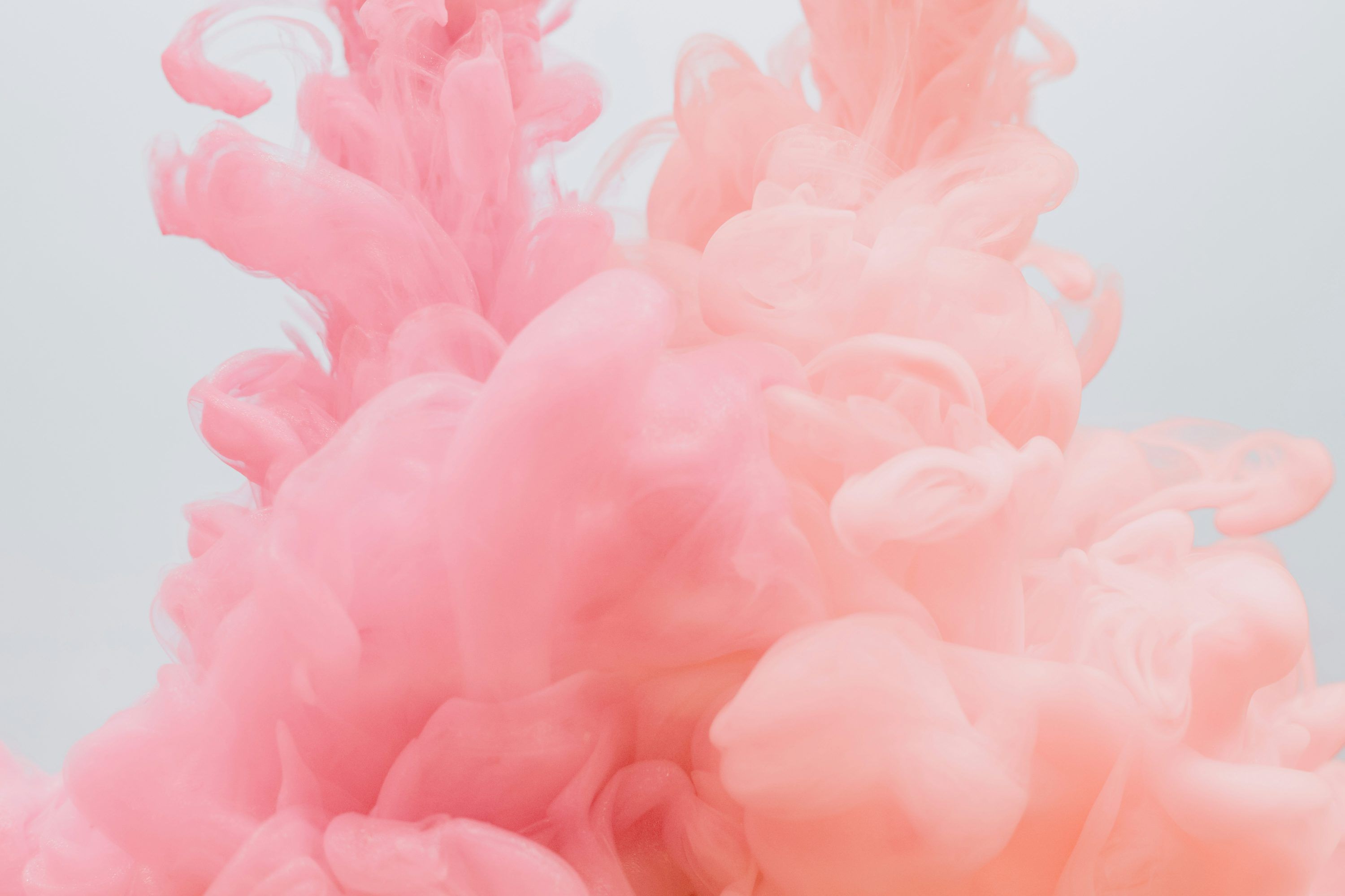 Pink Wallpaper: Free HD Download