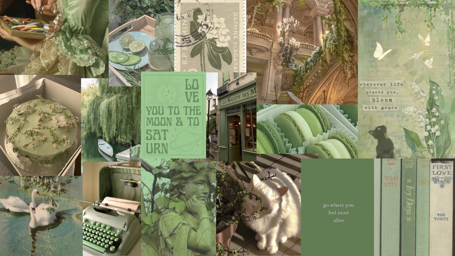 Lush Green Plant Aesthetic Wallpaper by nellellen