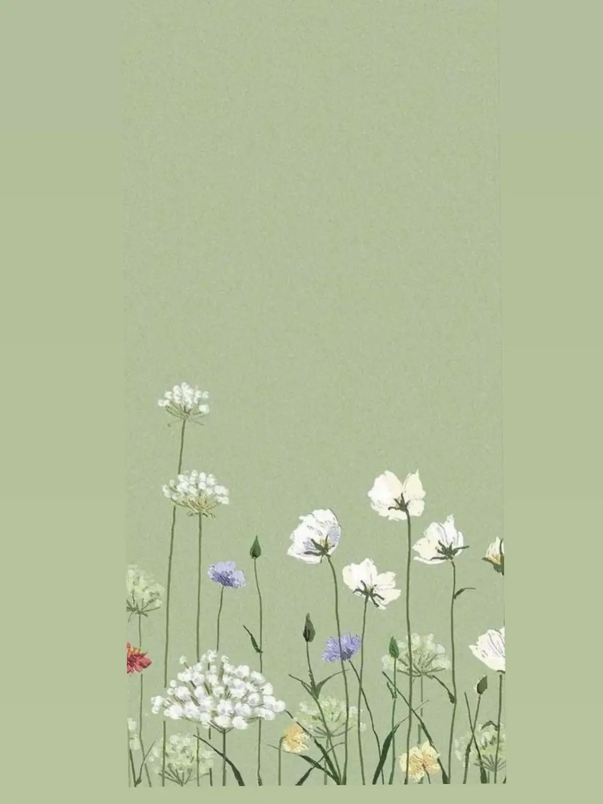 Sage Green Aesthetic Wallpapers 250 Backgrounds 