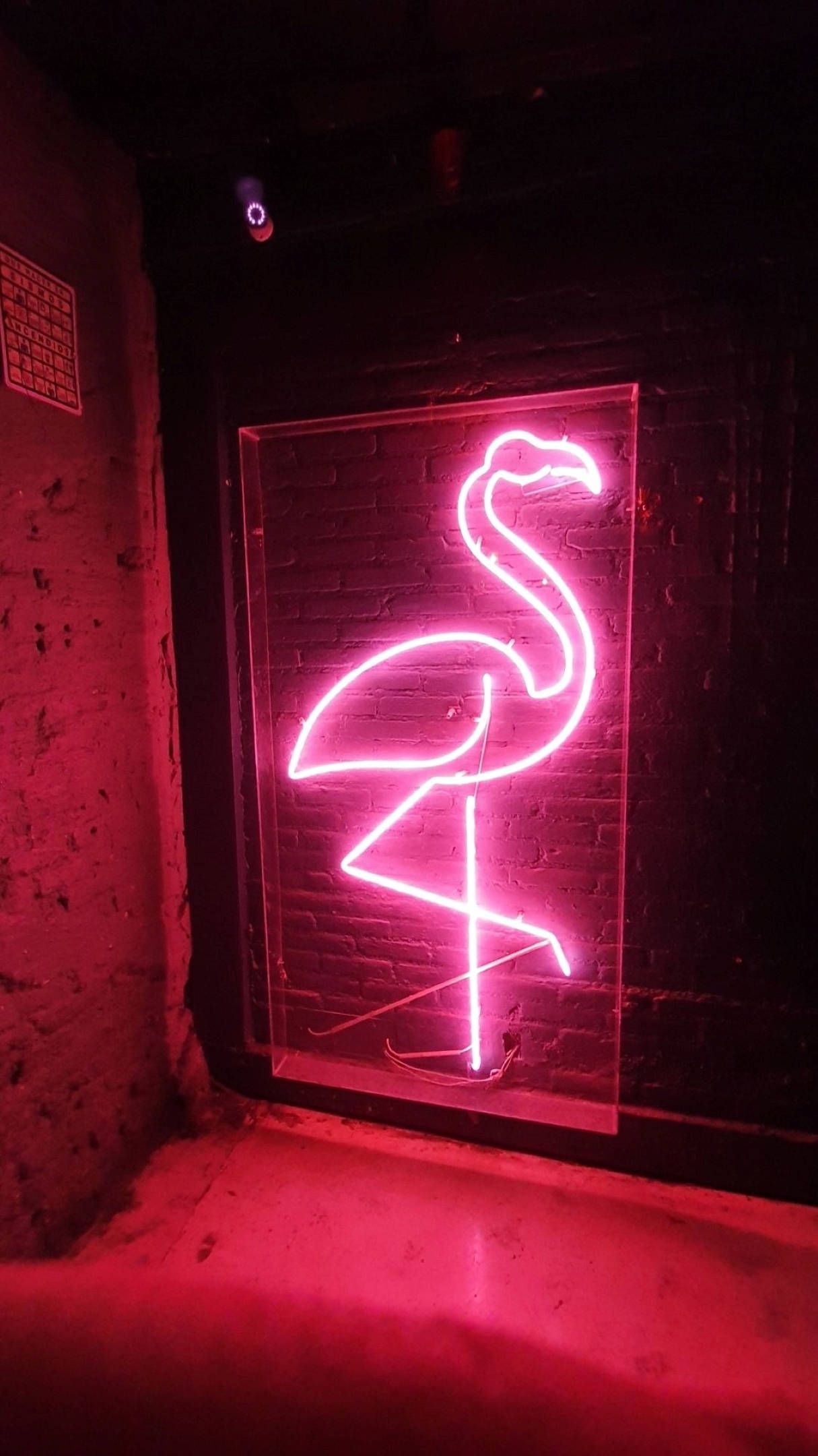 Download Neon Pink Aesthetic Flamingo Light Wallpaper