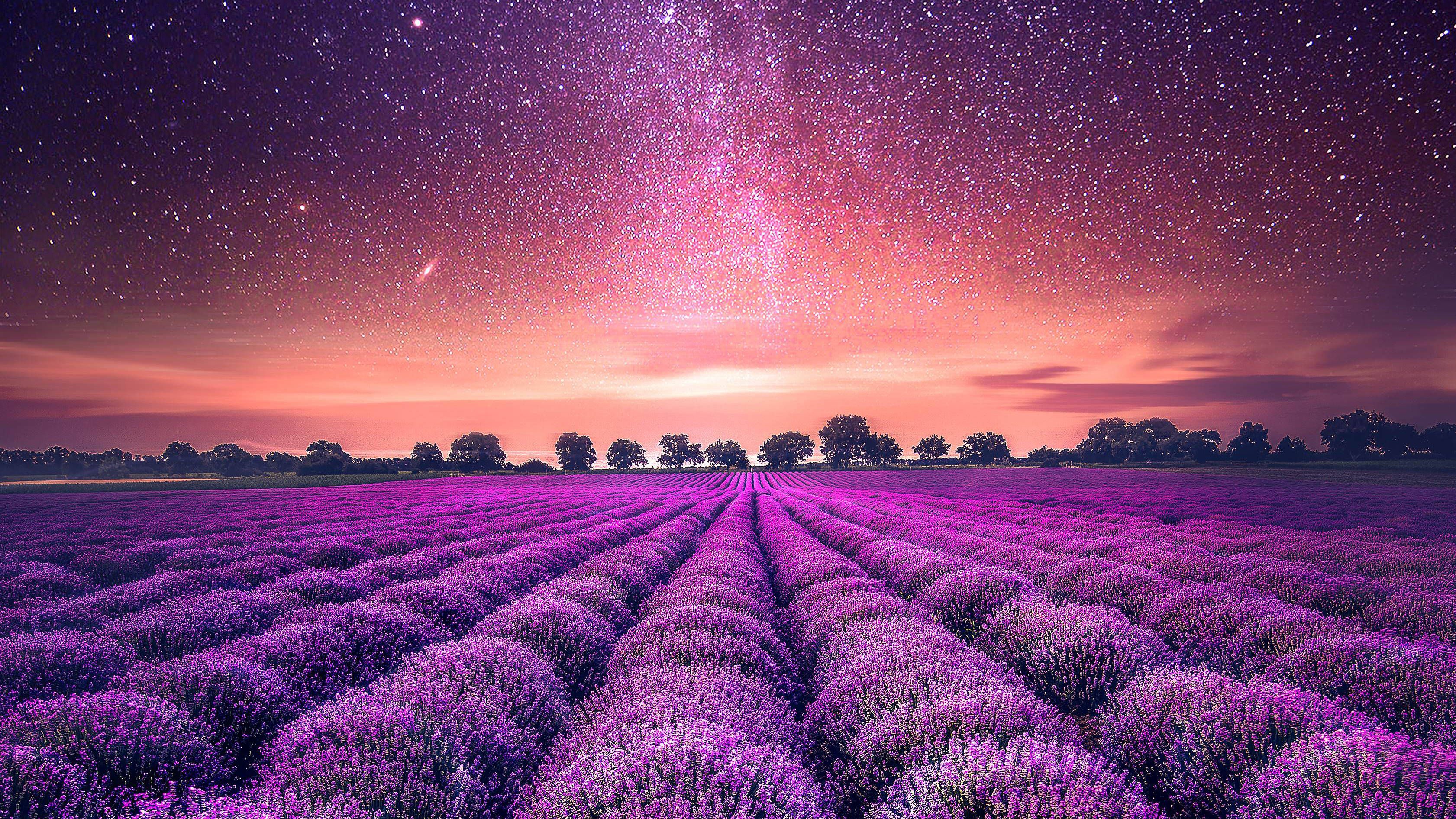 Download Lavender Aesthetic Field And Stars Wallpaper