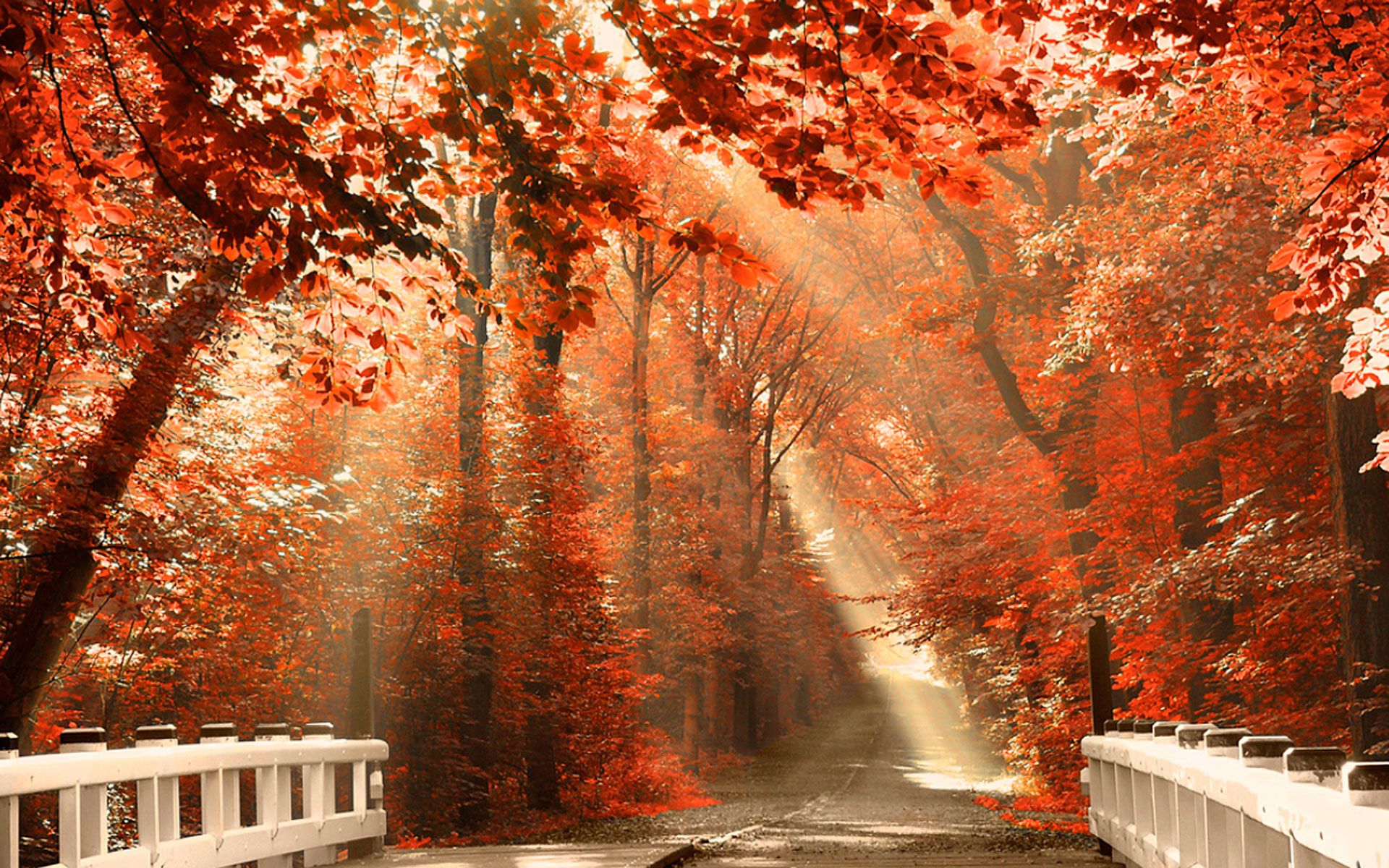 Autumn Wallpaper Examples for Your