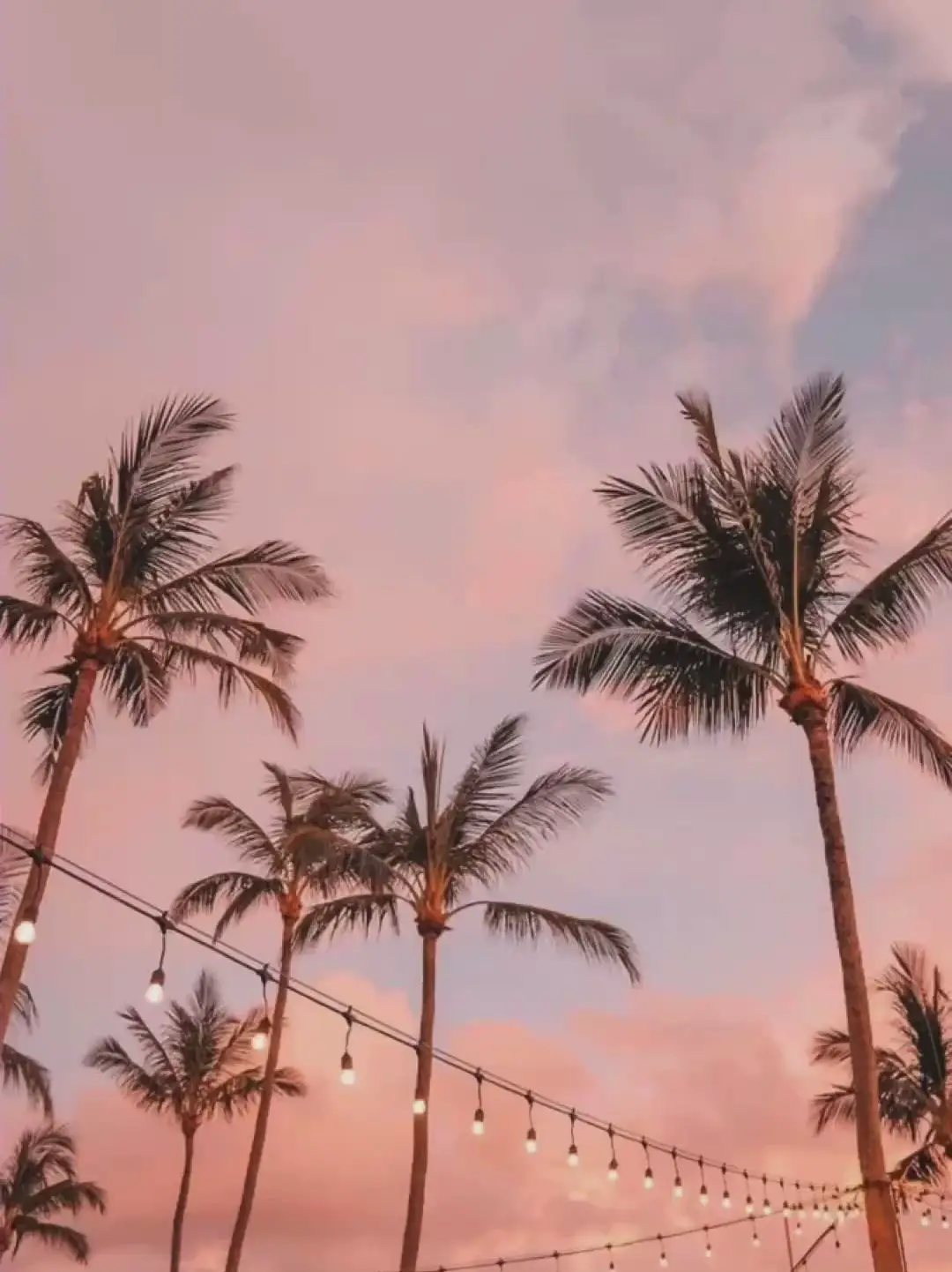 Aesthetic beach wallpaper