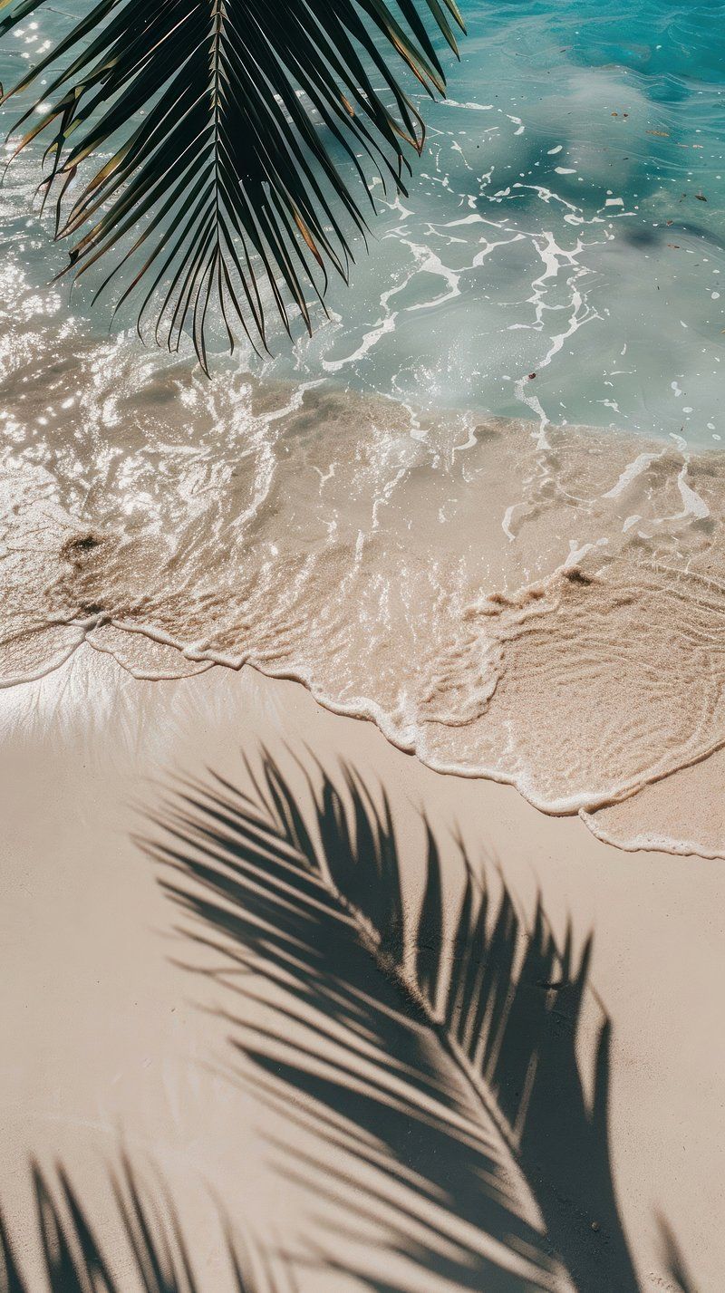 Beach, summer, ocean